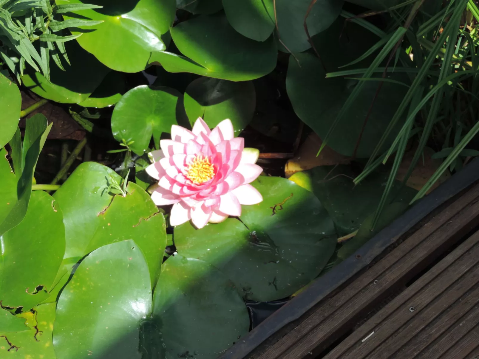 Mit Liebe ausgestattetes Haus im Naturpark