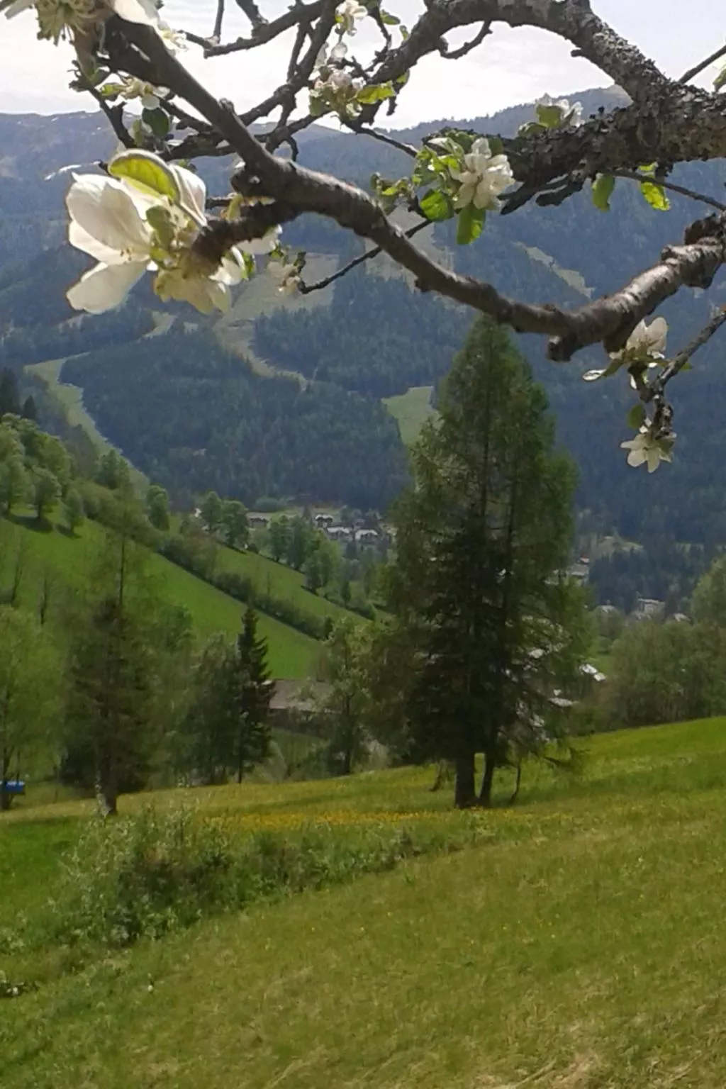 Freistehendes Ferienhaus in idyllischer Lage-Buiten