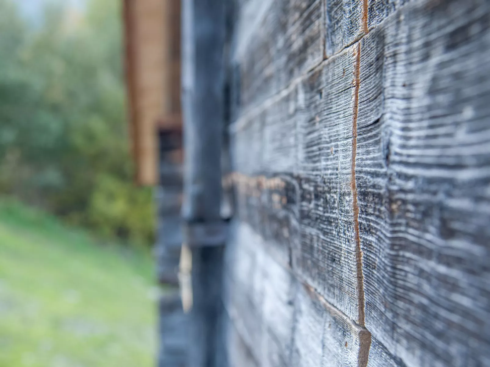 Alm Mayen im Wallis von 1904-Image-tags.info