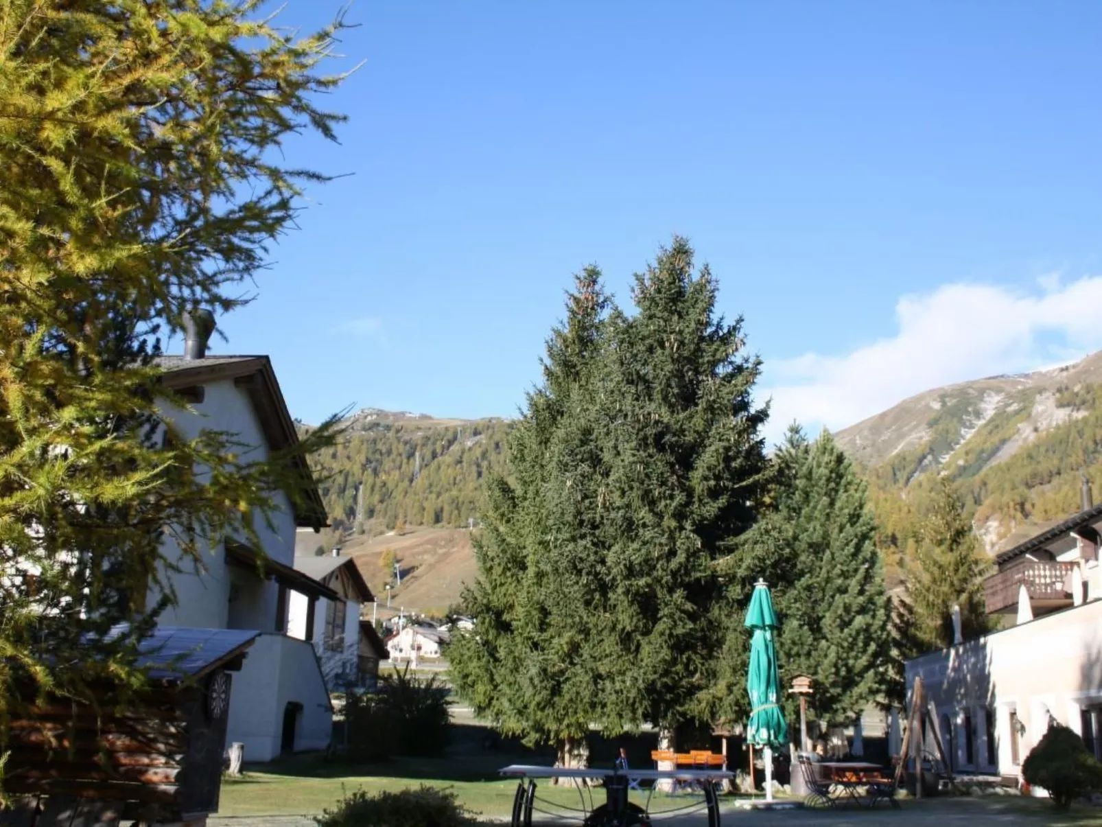 Anda 1-Image-tags.info