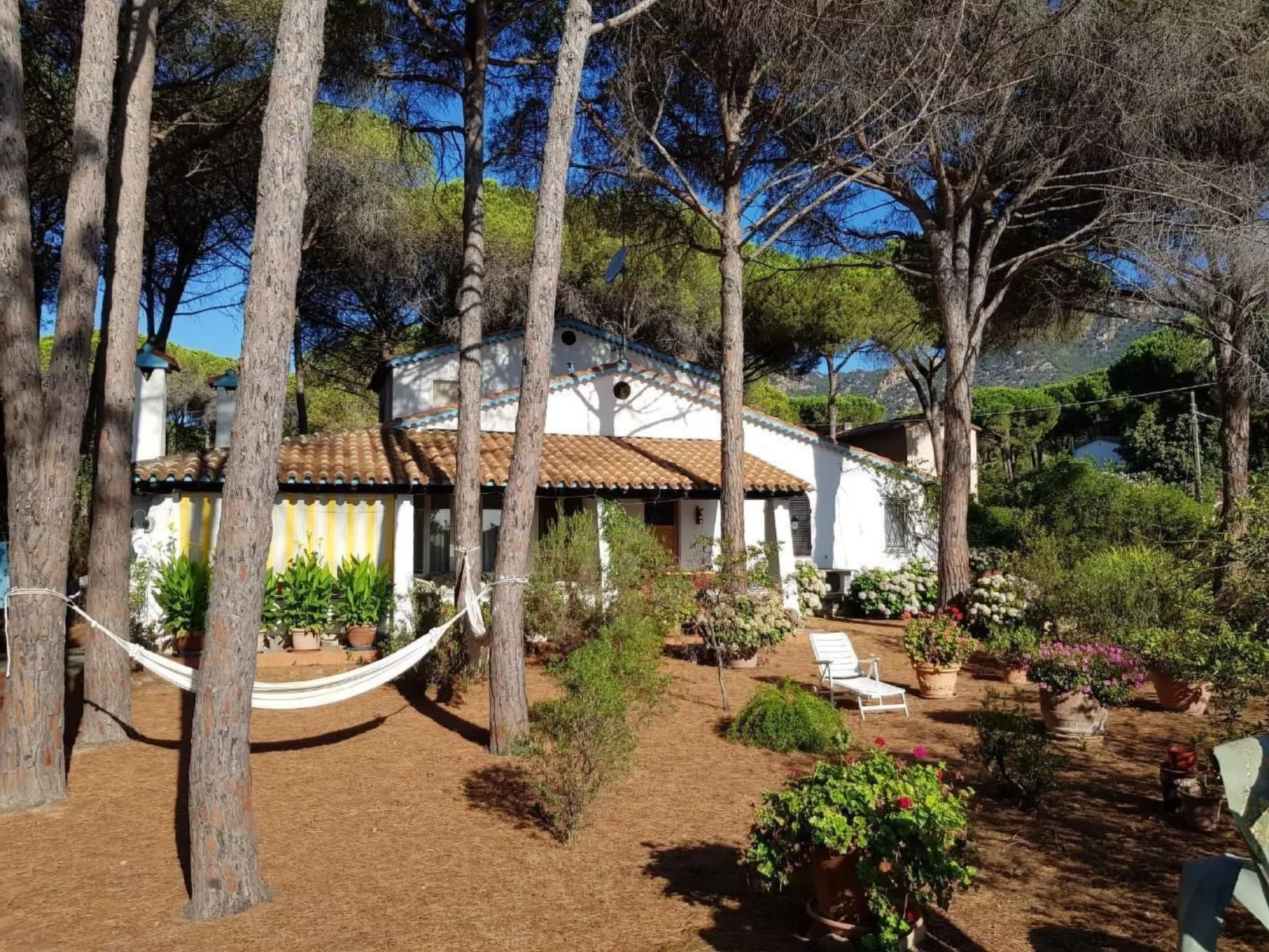 Mare e Pineta-Binnen