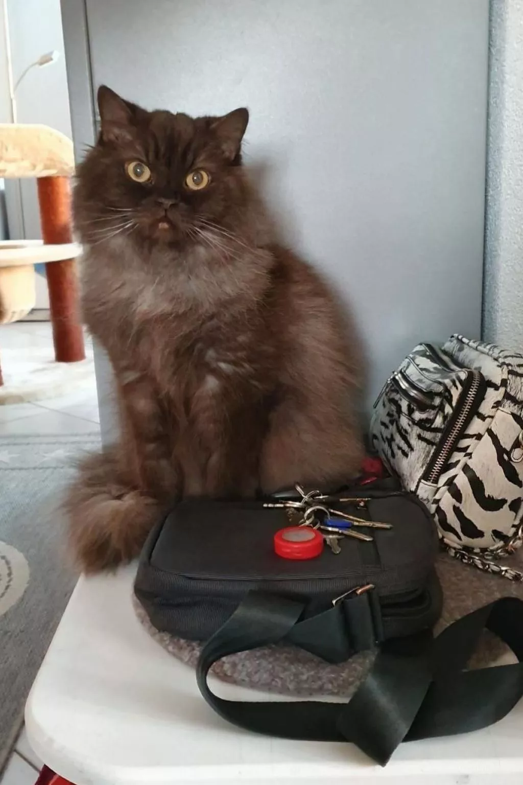 Bergsicht-Image-tags.info