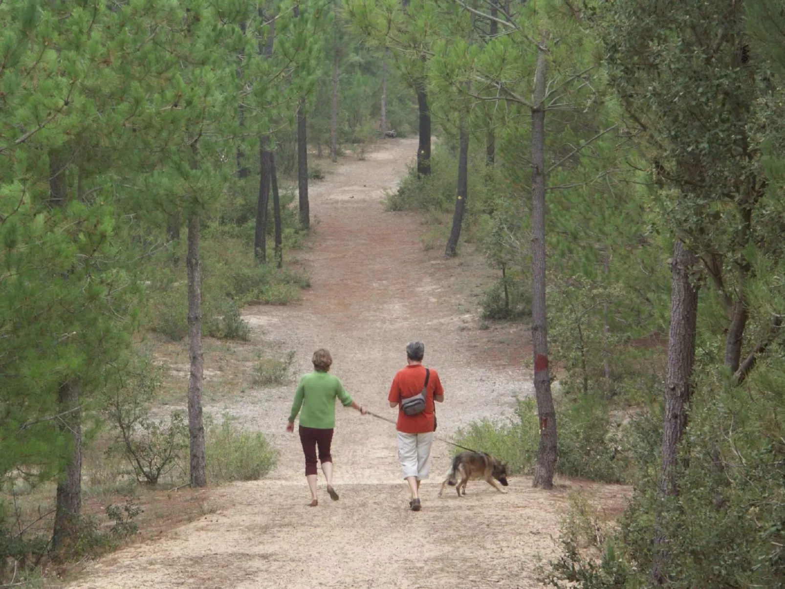 APPARTEMENT GRAND BALCON FACE MER WIFI GRATUIT-Buiten