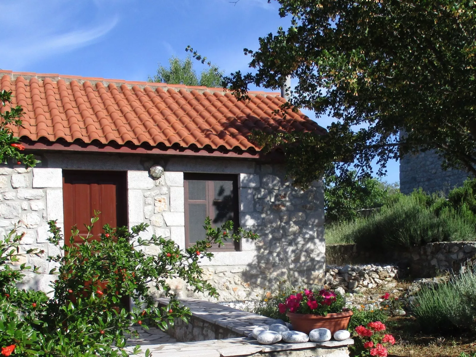 1249147 (copy)-Buiten