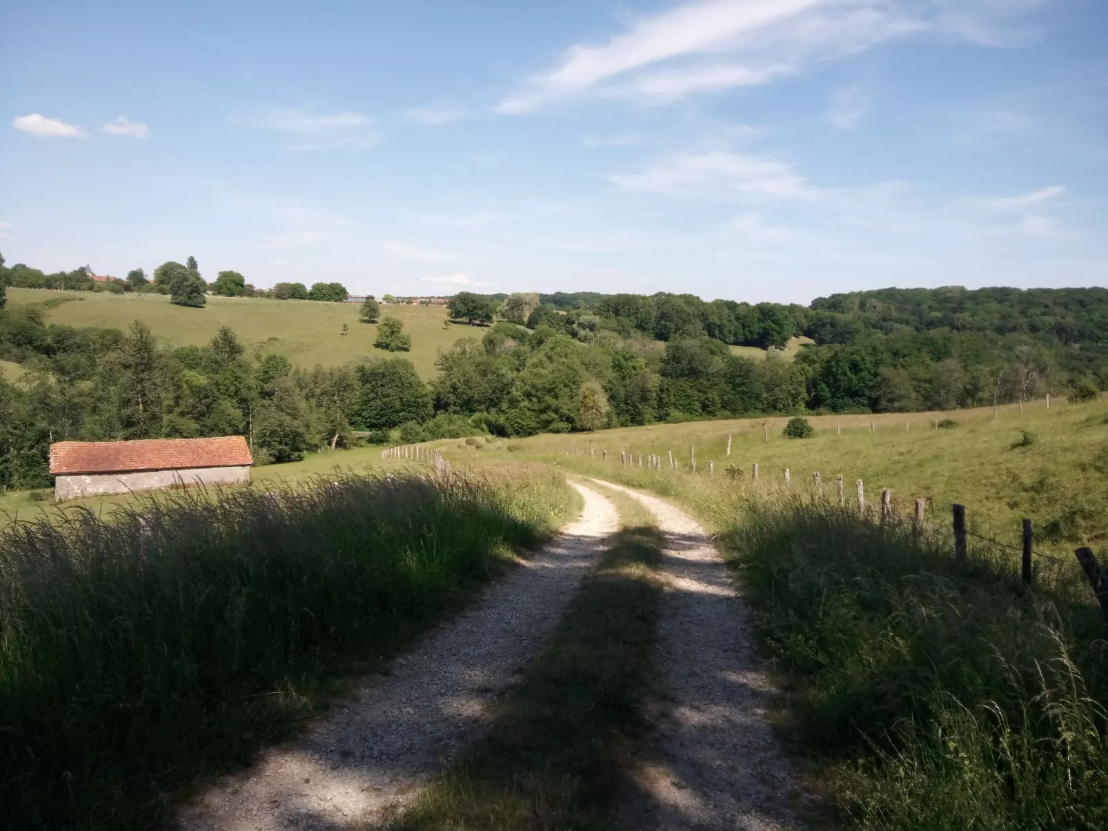 Großes Ferienhaus mit Terrasse und Garten-Buiten