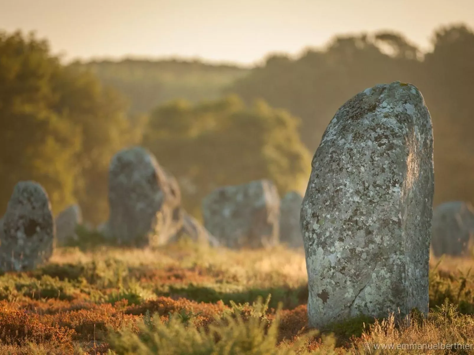 La Bergerie-Image-tags.info