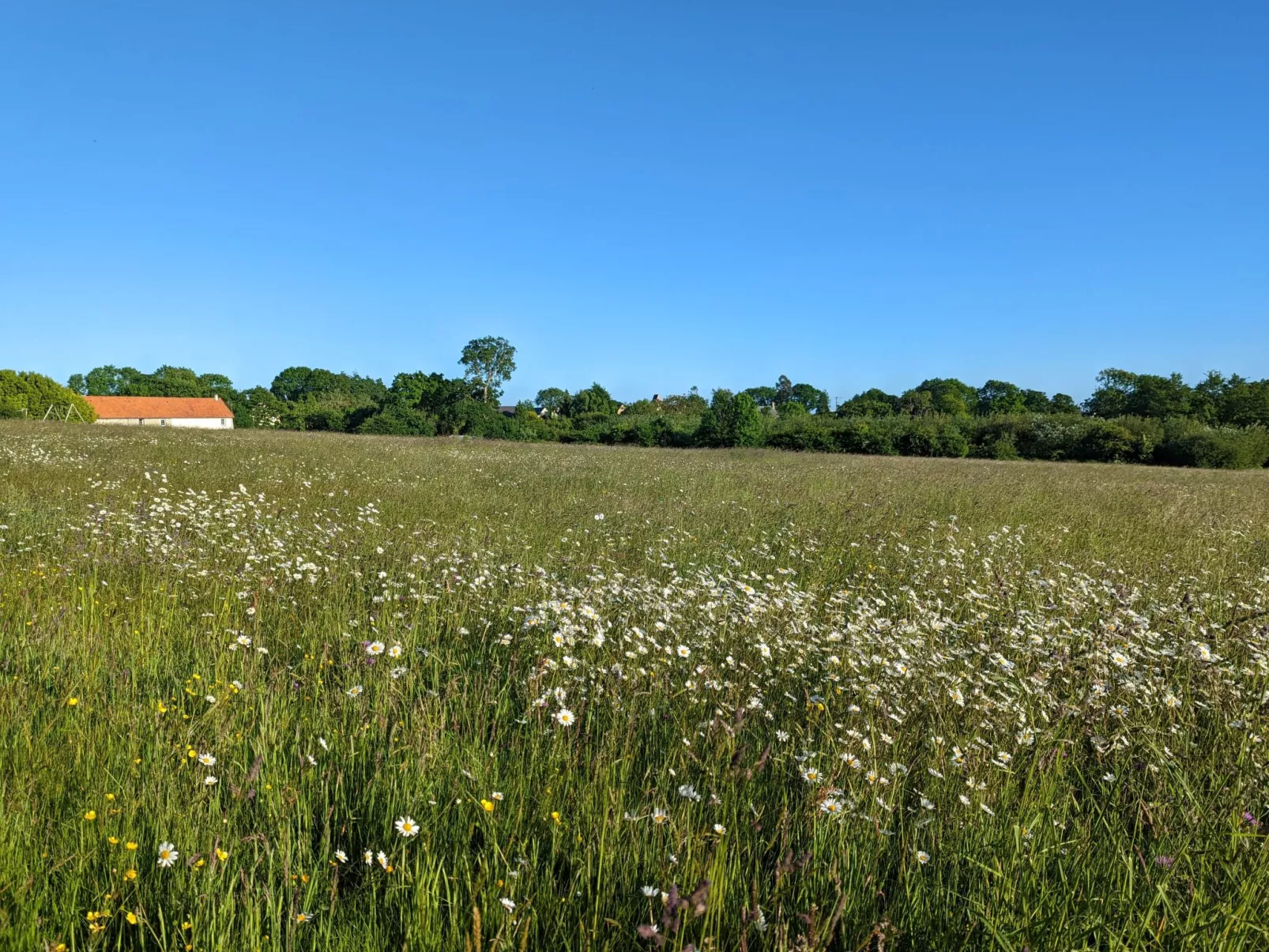 Landgut "La Vacherie" mit Terrasse-Image-tags.info