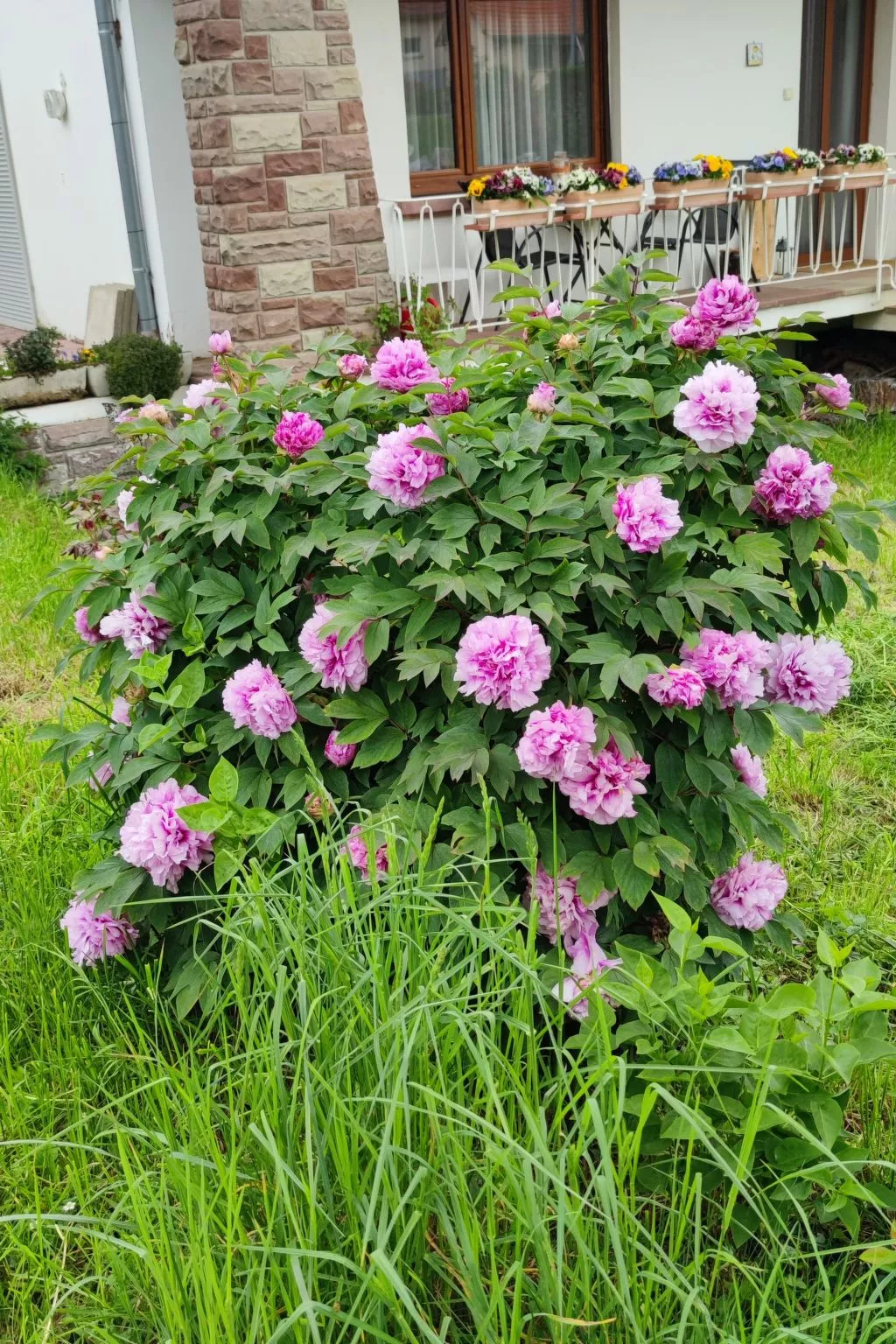 Le Château d'Eau-Buiten