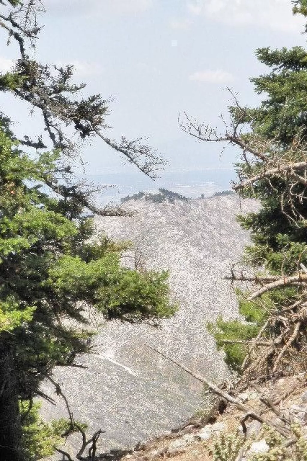 Studio mit Garten-Buiten
