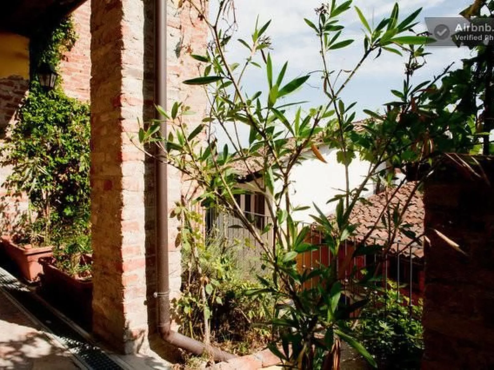 Vergissmeinnicht-Buiten