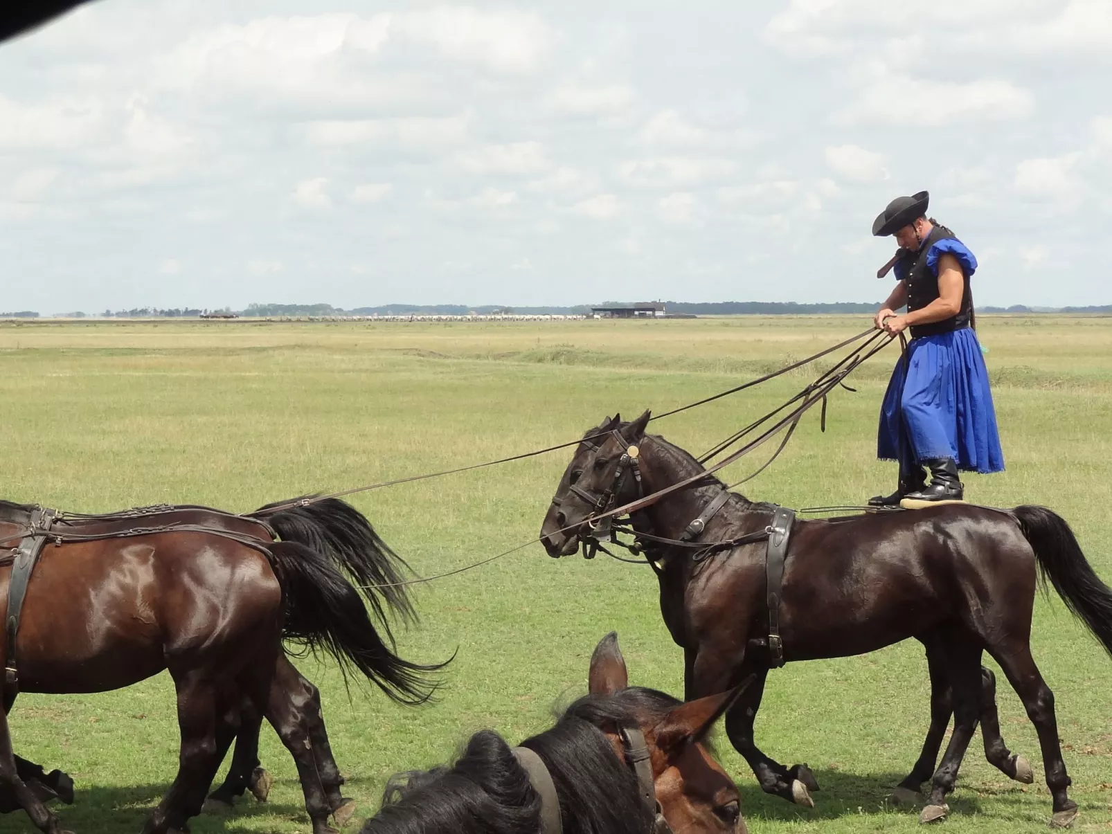 Hütte mit Garten, Grill und Terrasse-Image-tags.info