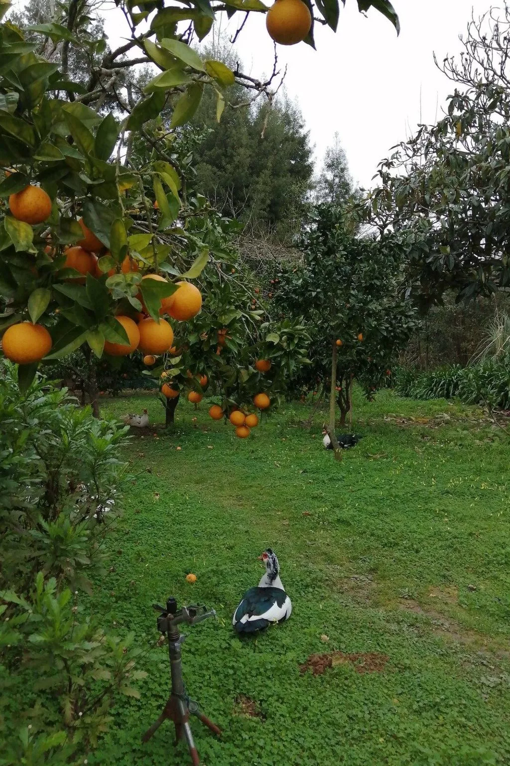 Maison du Moulin in Bauernhof-Image-tags.info