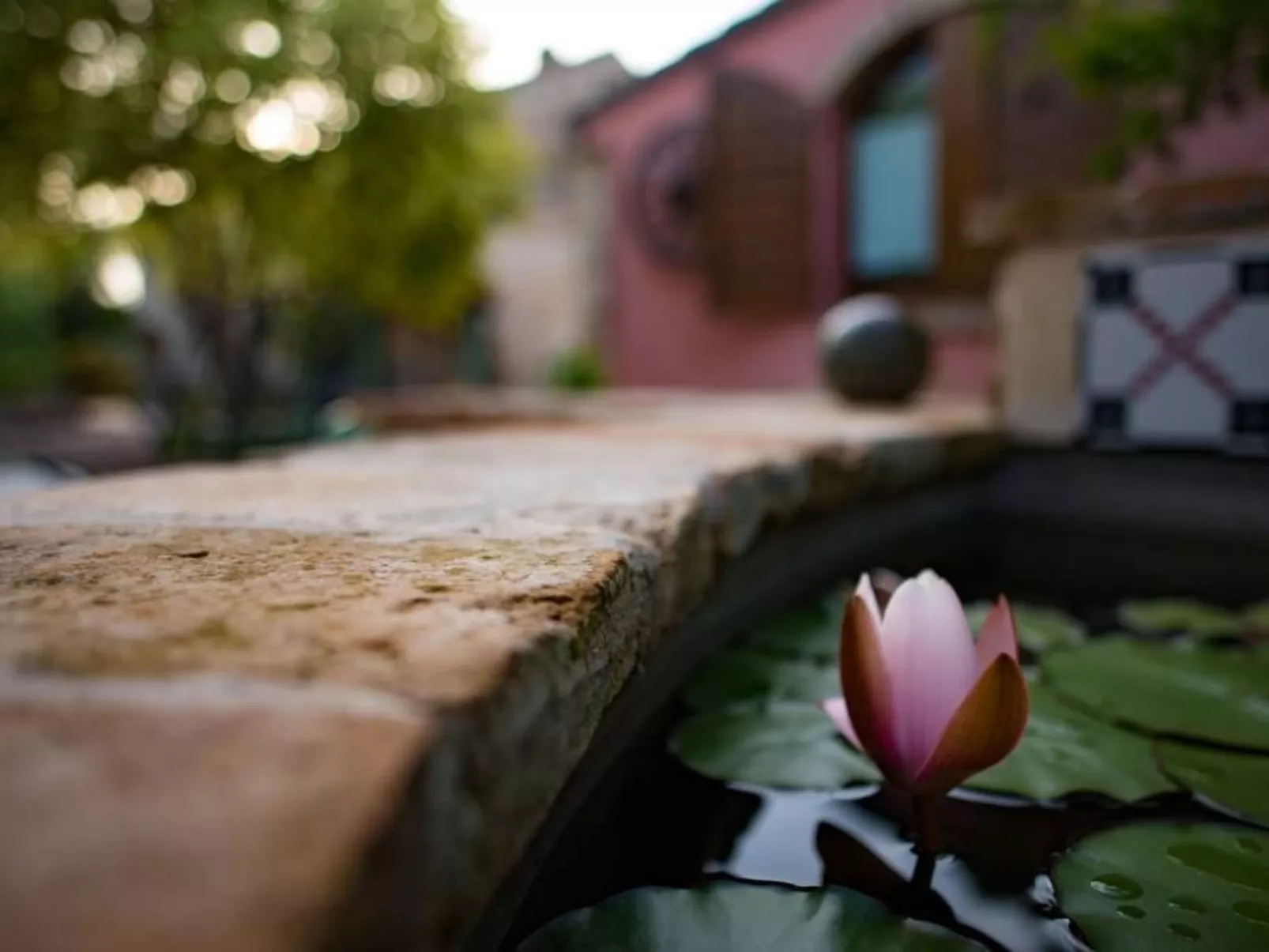 Villa mit Pool für 29 Personen ca. 800 m2-Buiten