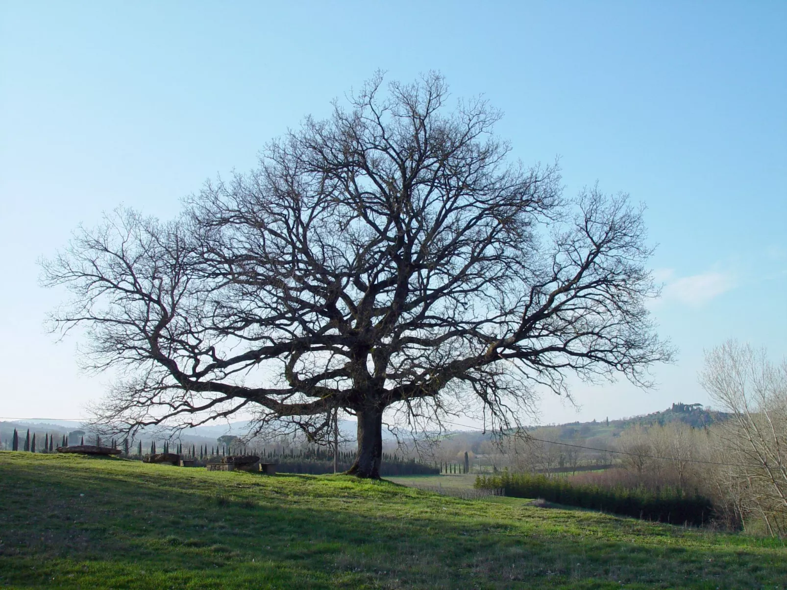 Wohnung in Sarteano mit Privatparkplatz-Buiten
