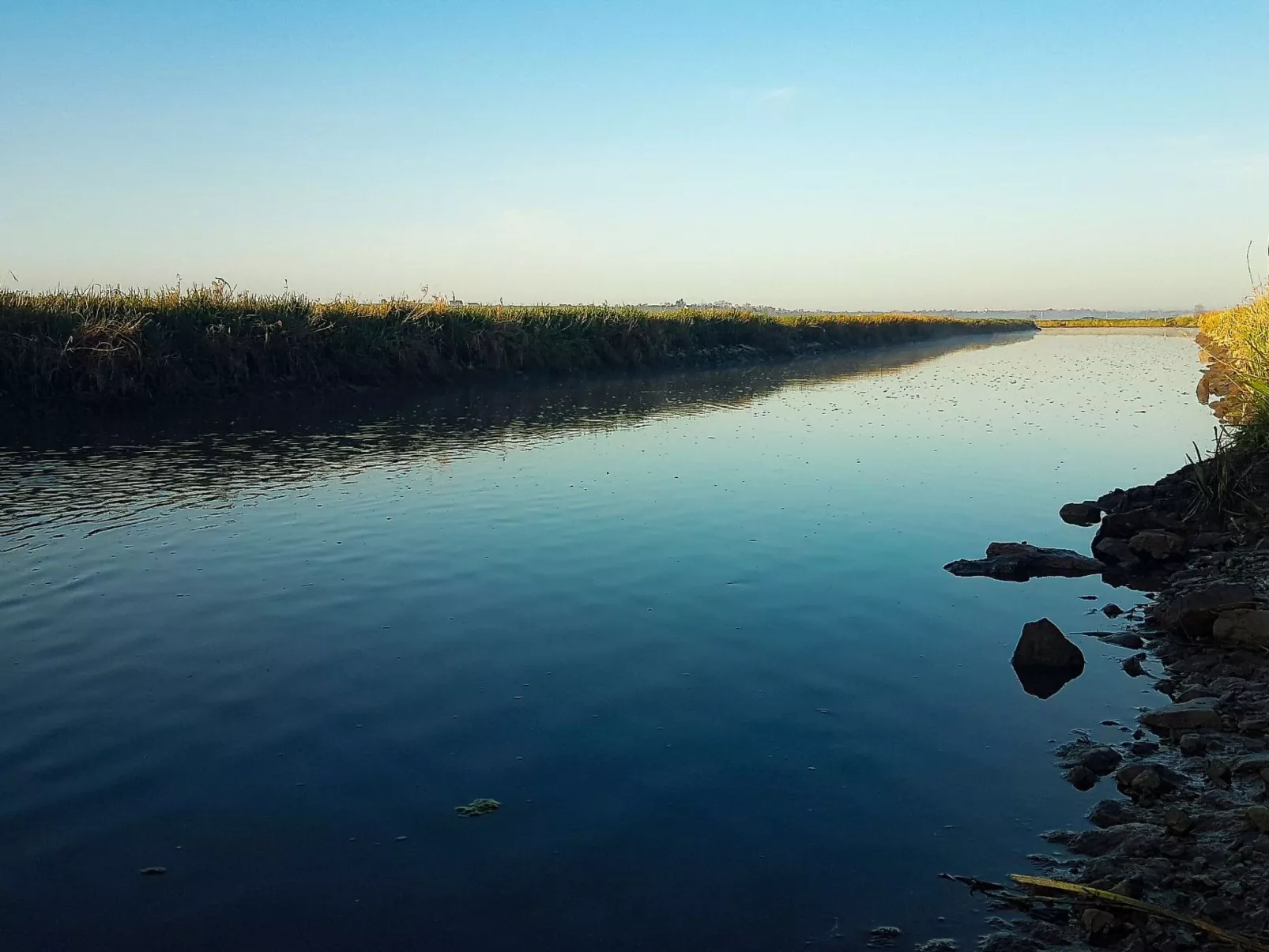Le domaine des roseraies, gîte les roseraies-Buiten