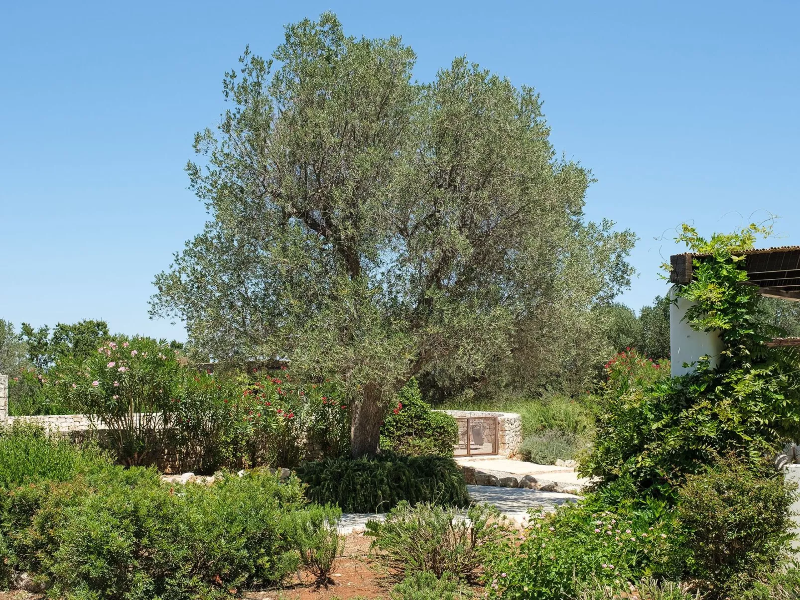 Mit Privatpool an der Adriaküste-Buiten