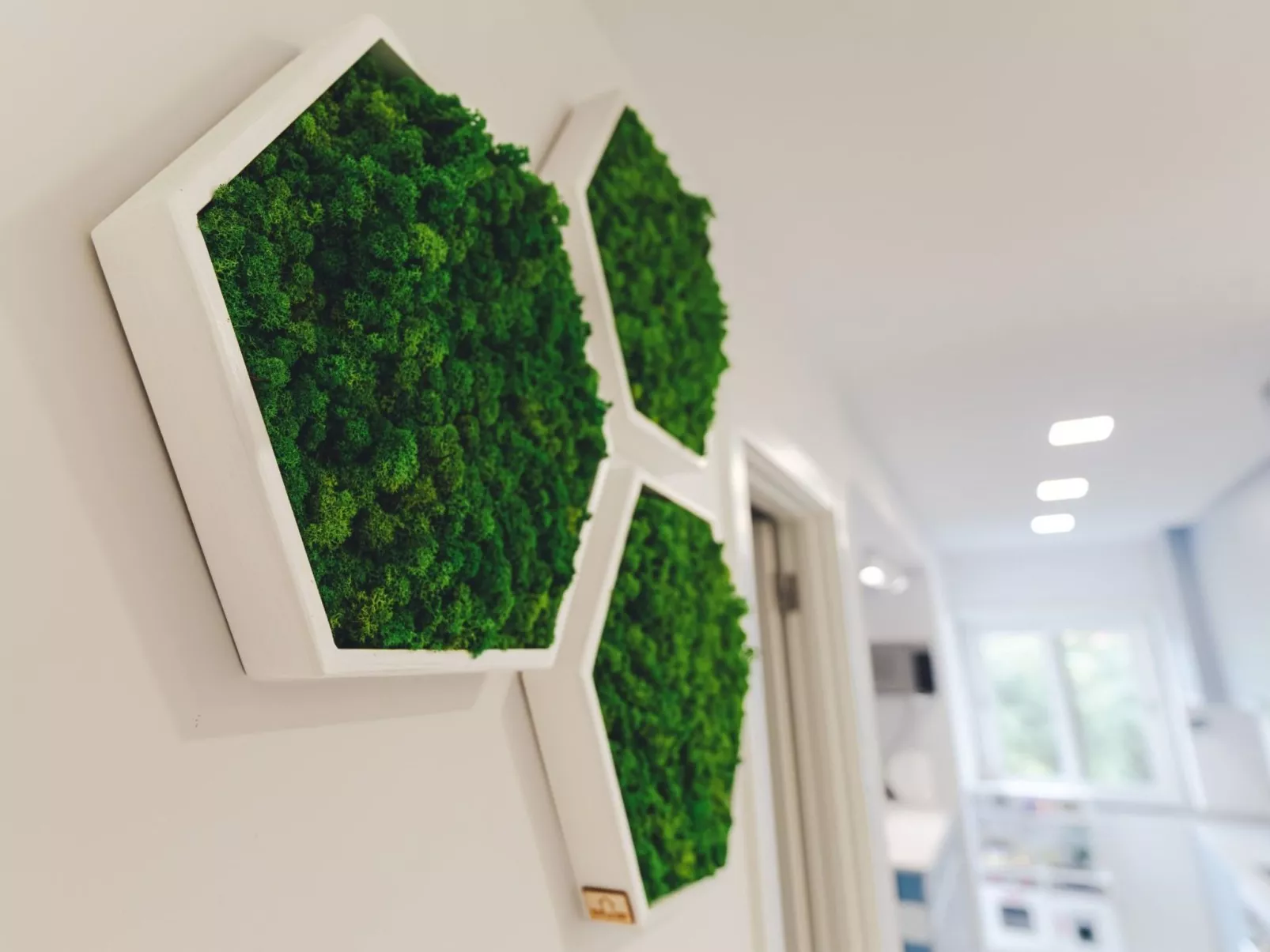 "Haus Beach Waves"-Image-tags.info