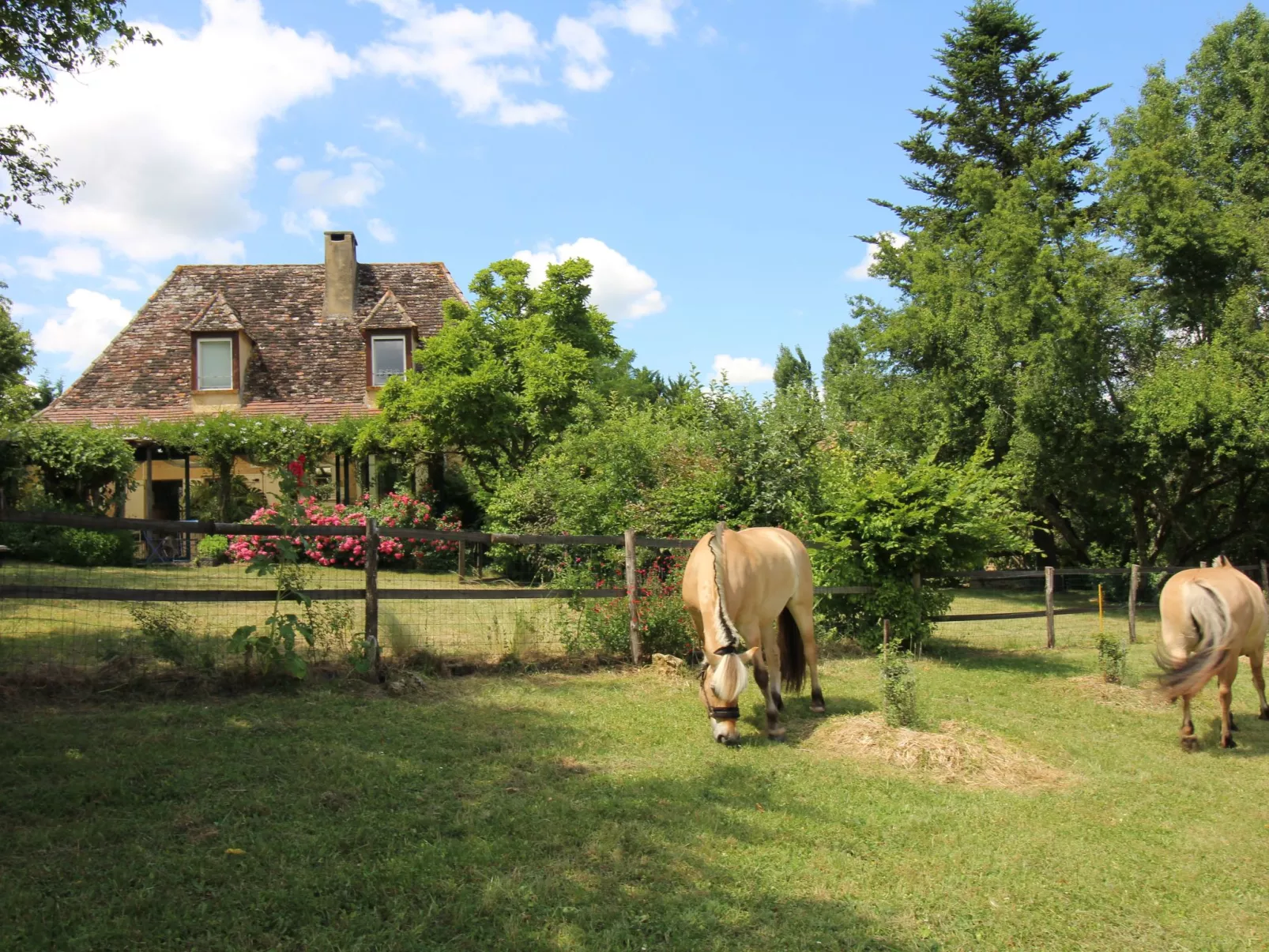 Haus mit Charme Komfort Ruhe Privatpool-Buiten