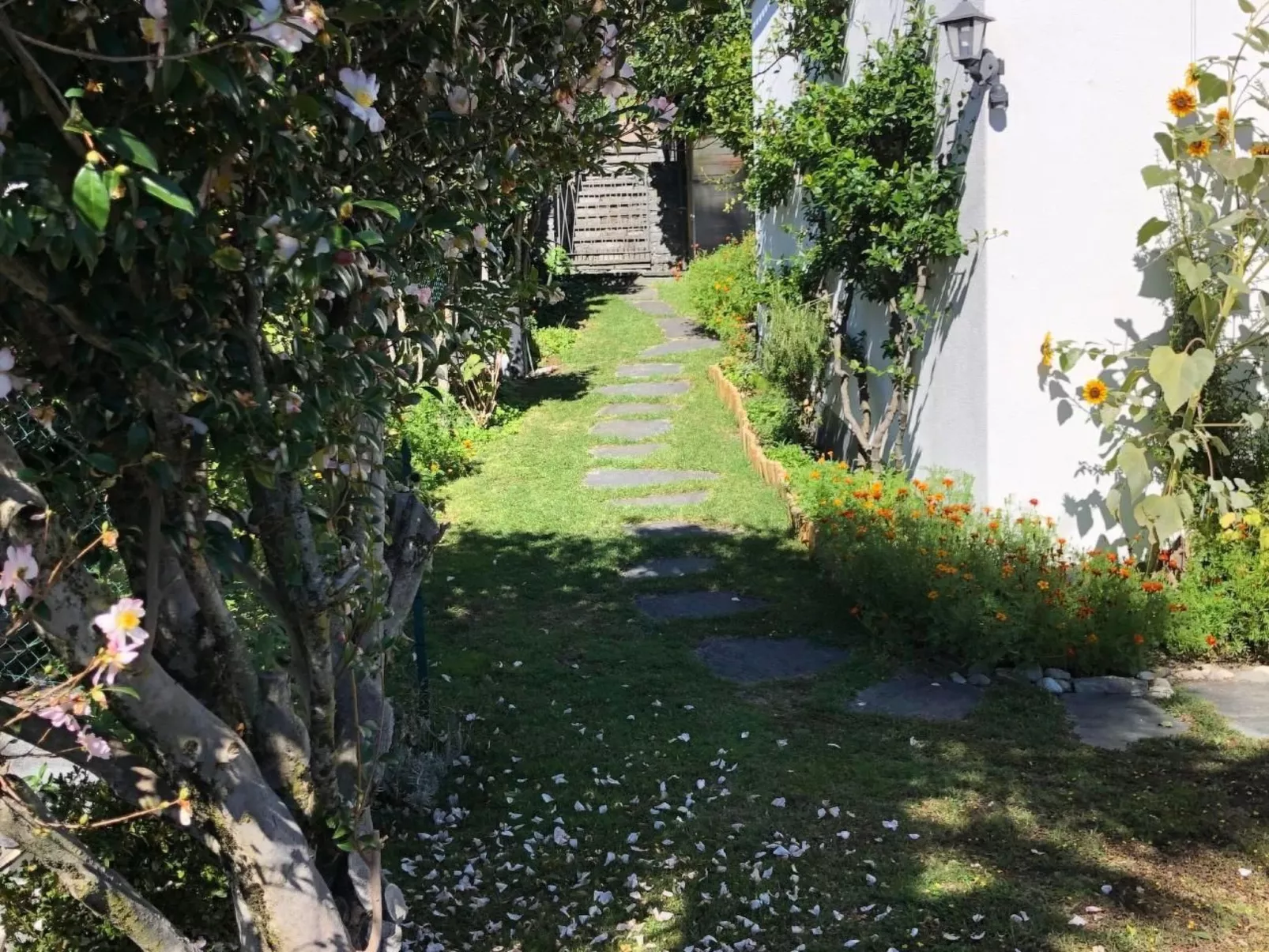 Casa Tintinnio-Buiten