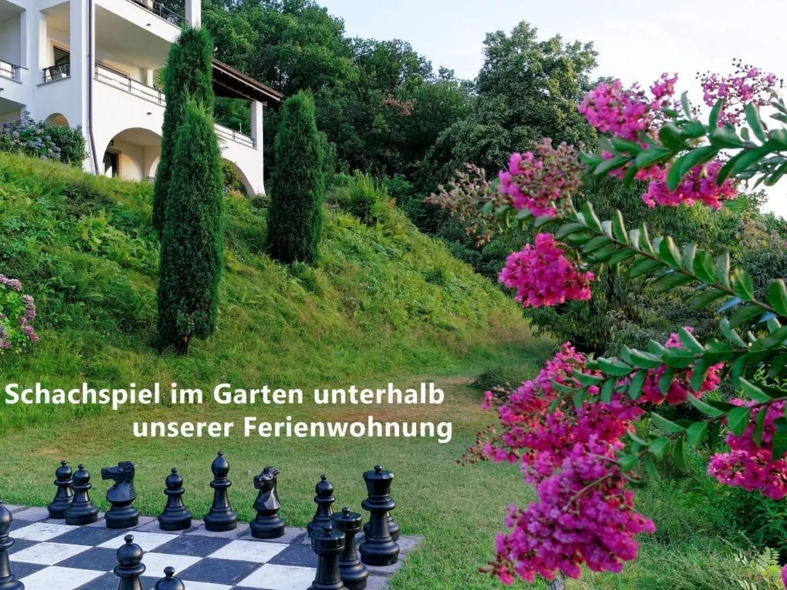 Studio mit Blick auf das Wasser-Buiten