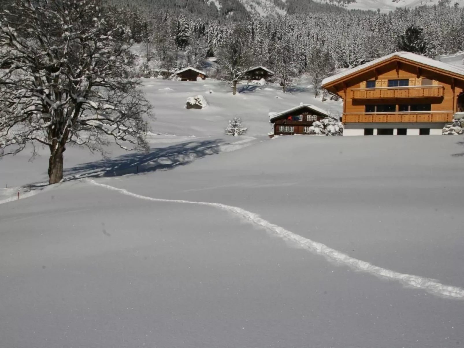 Chalet Bärgbächli-Buiten