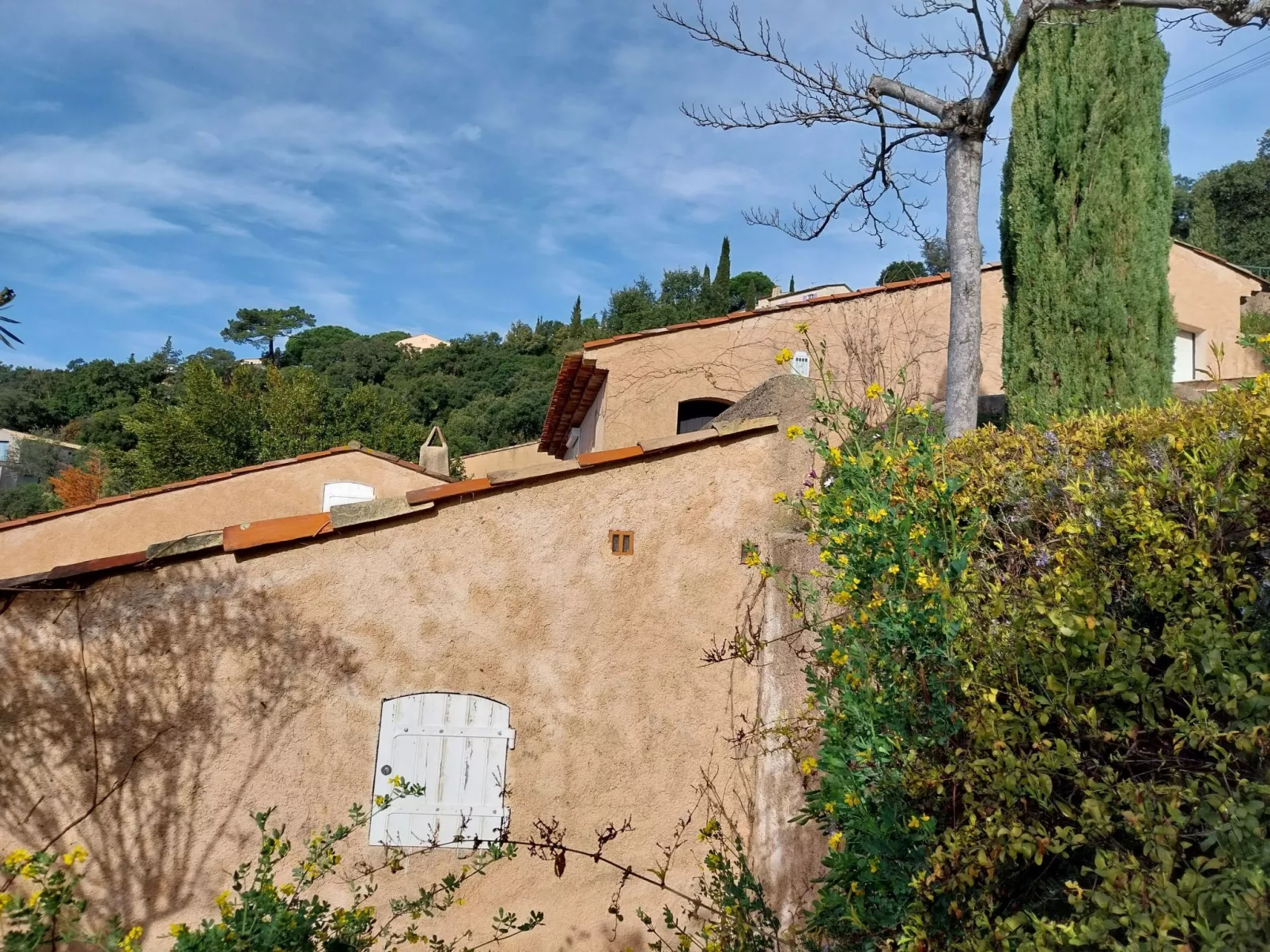 Villa Bellevue-Buiten