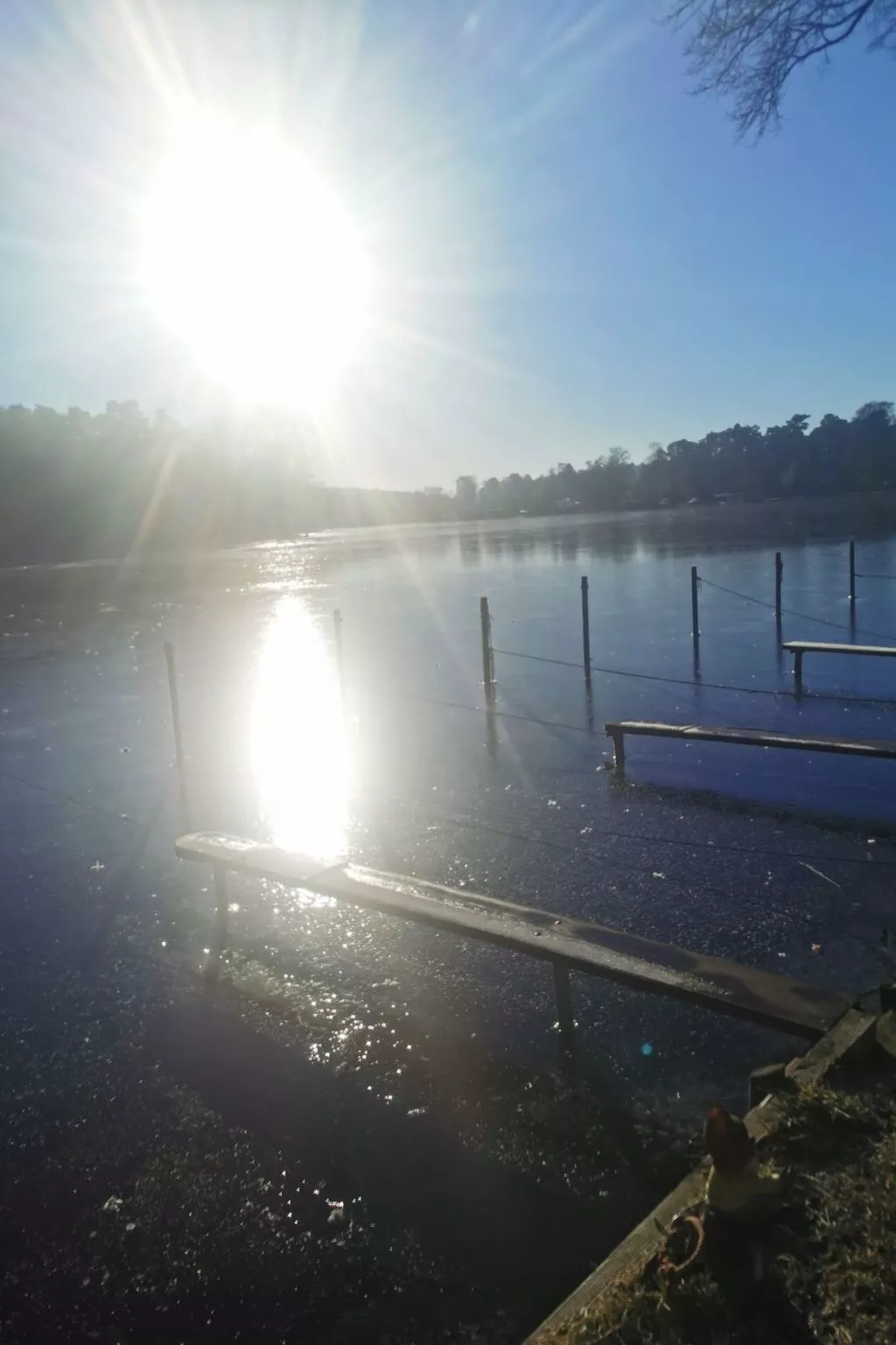 In Müggelheim mit eigener Terrasse-Buiten