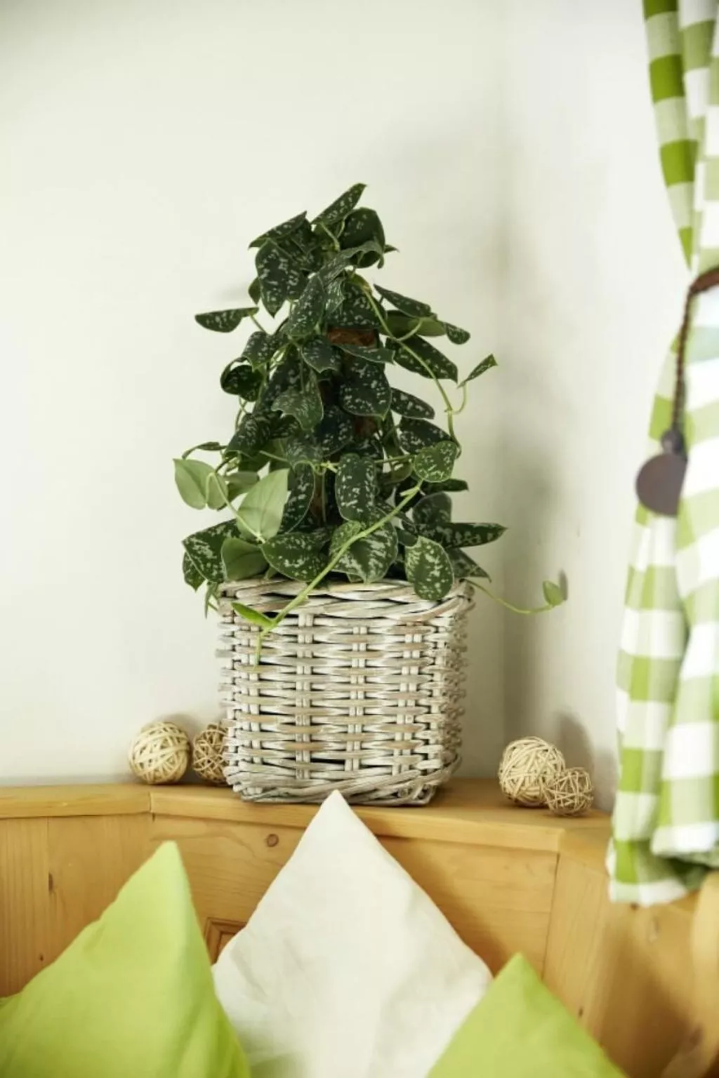 Auhäusl in Mittersill-Binnen