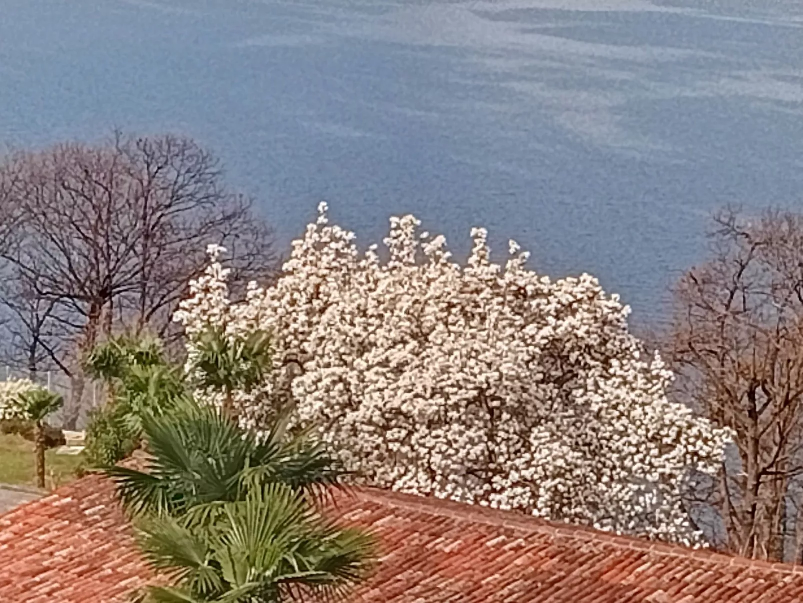 Residenza Viramonte - Casa Fiona, Wohnung 52 - Buiten