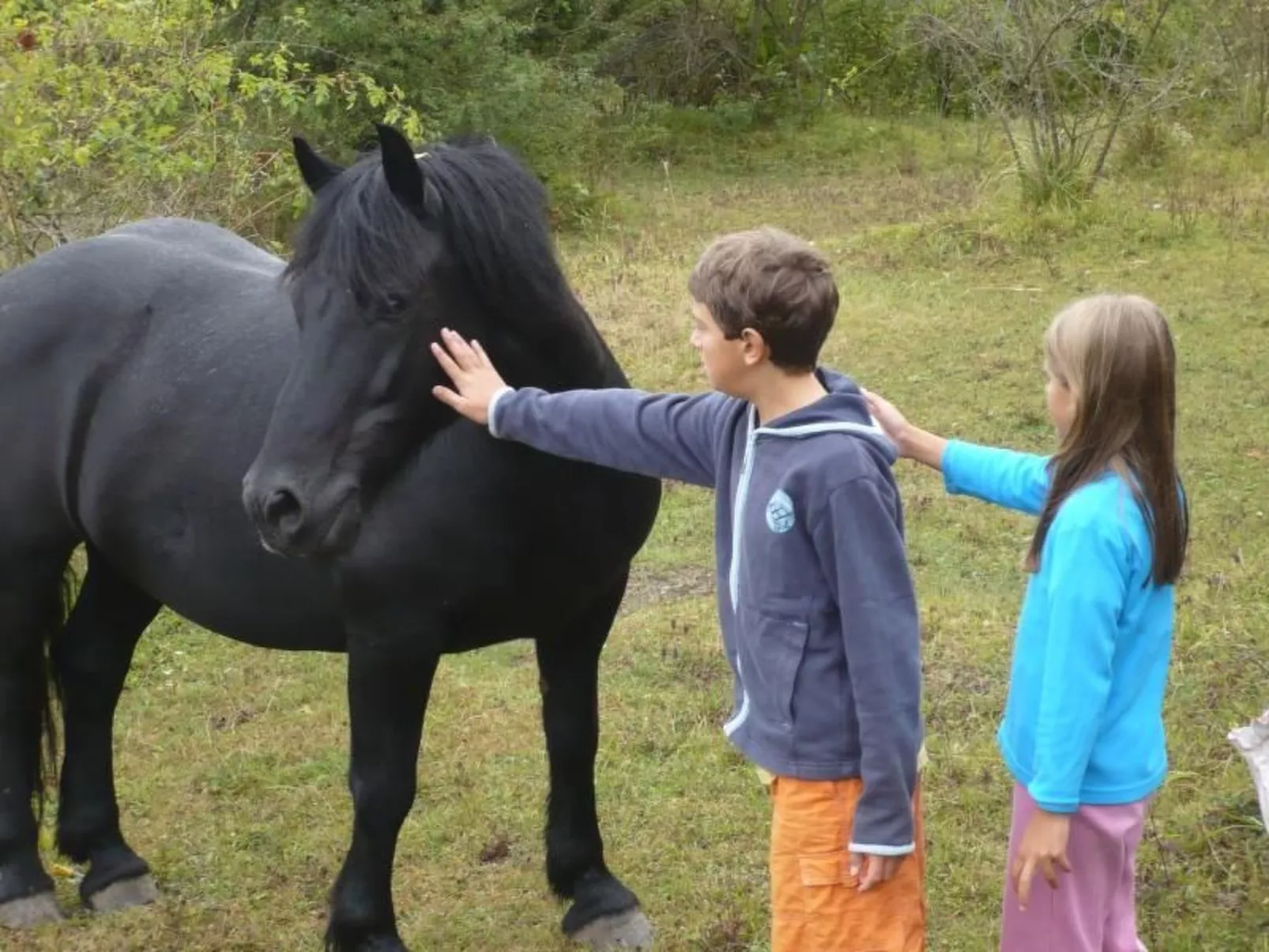 Sole-Image-tags.info