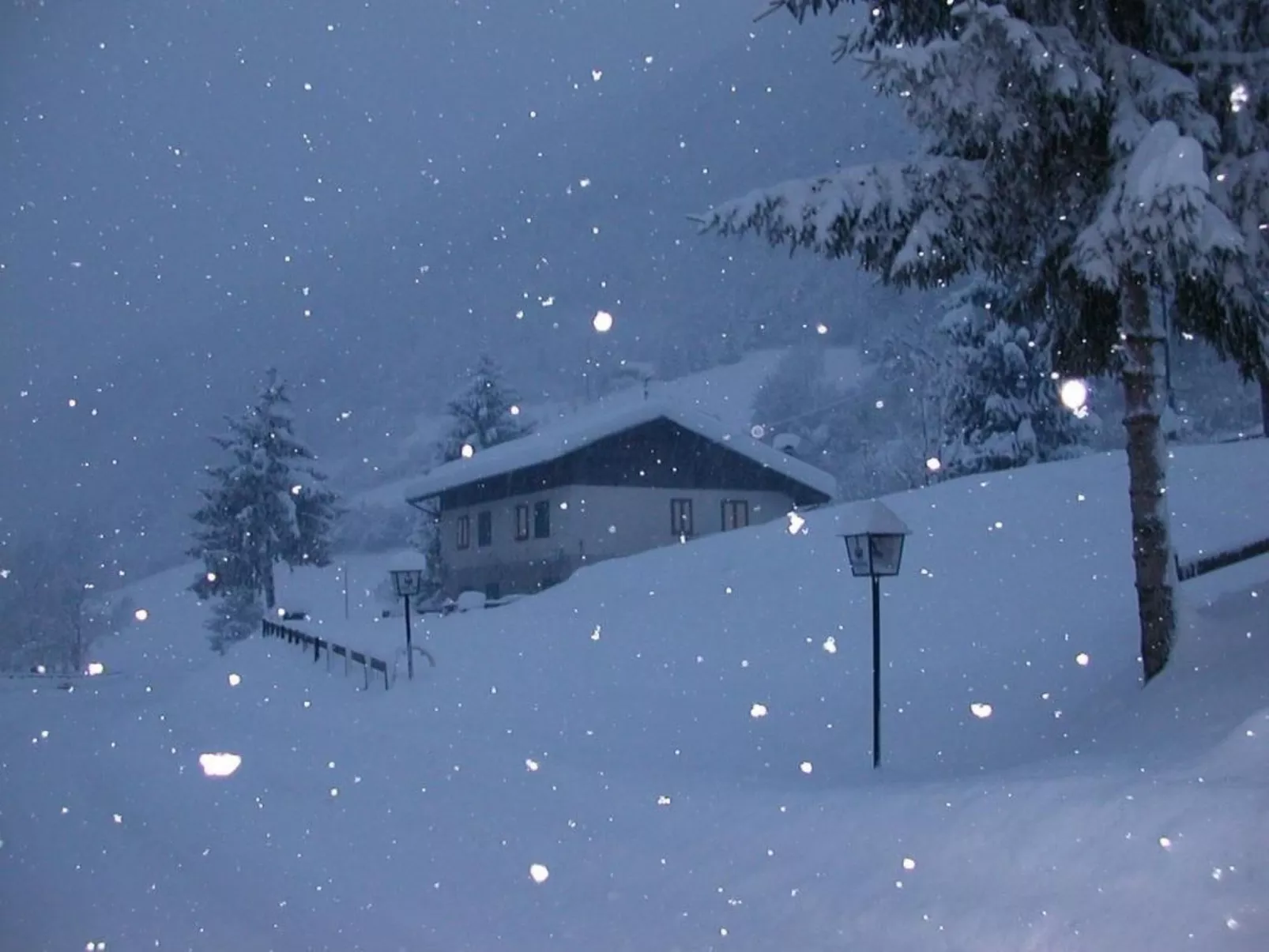Gesegnet wie Frösche auf einem Seerosenblatt