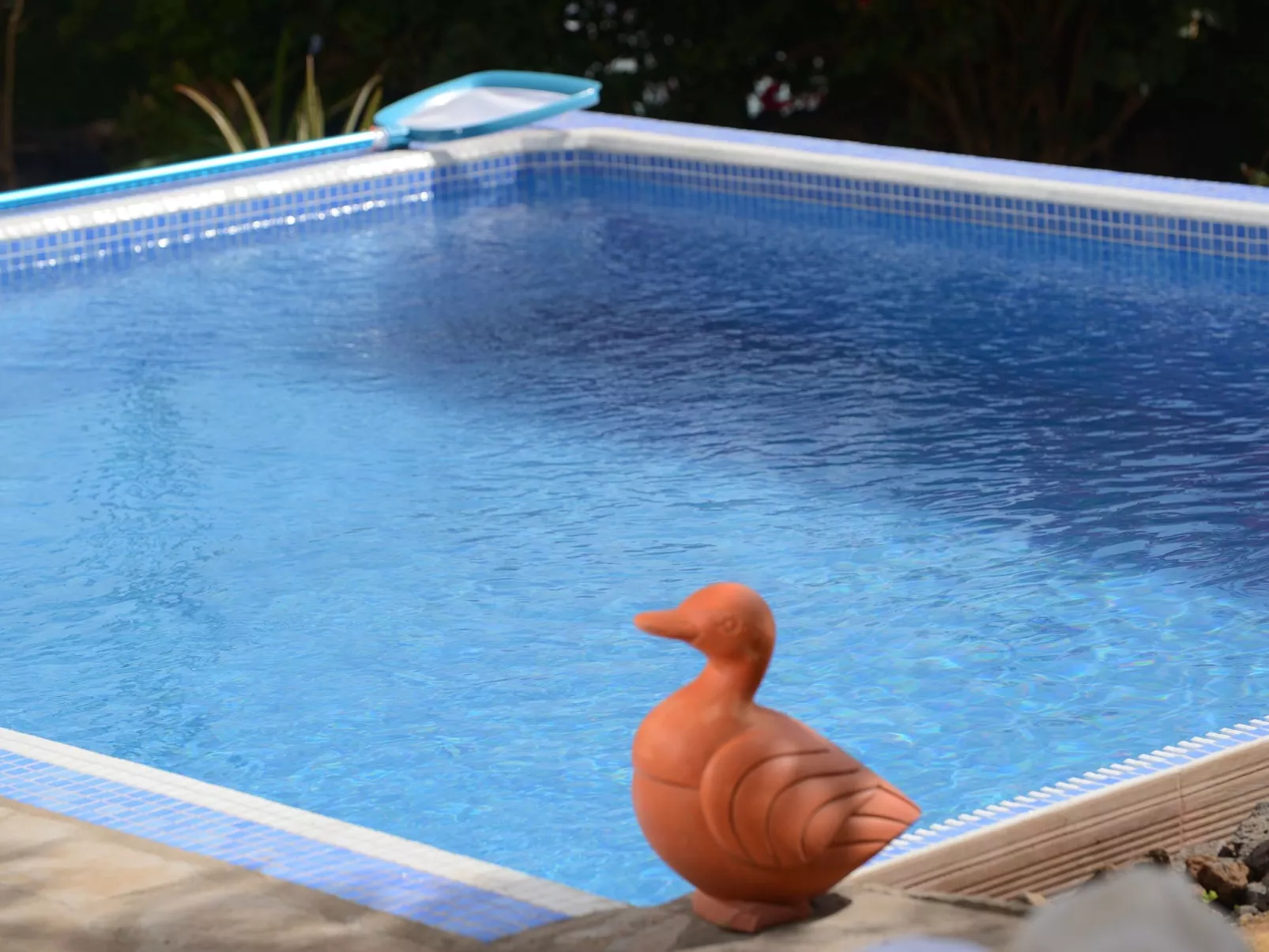 Mit Schwimmbad nur für Erwachsene-Buiten