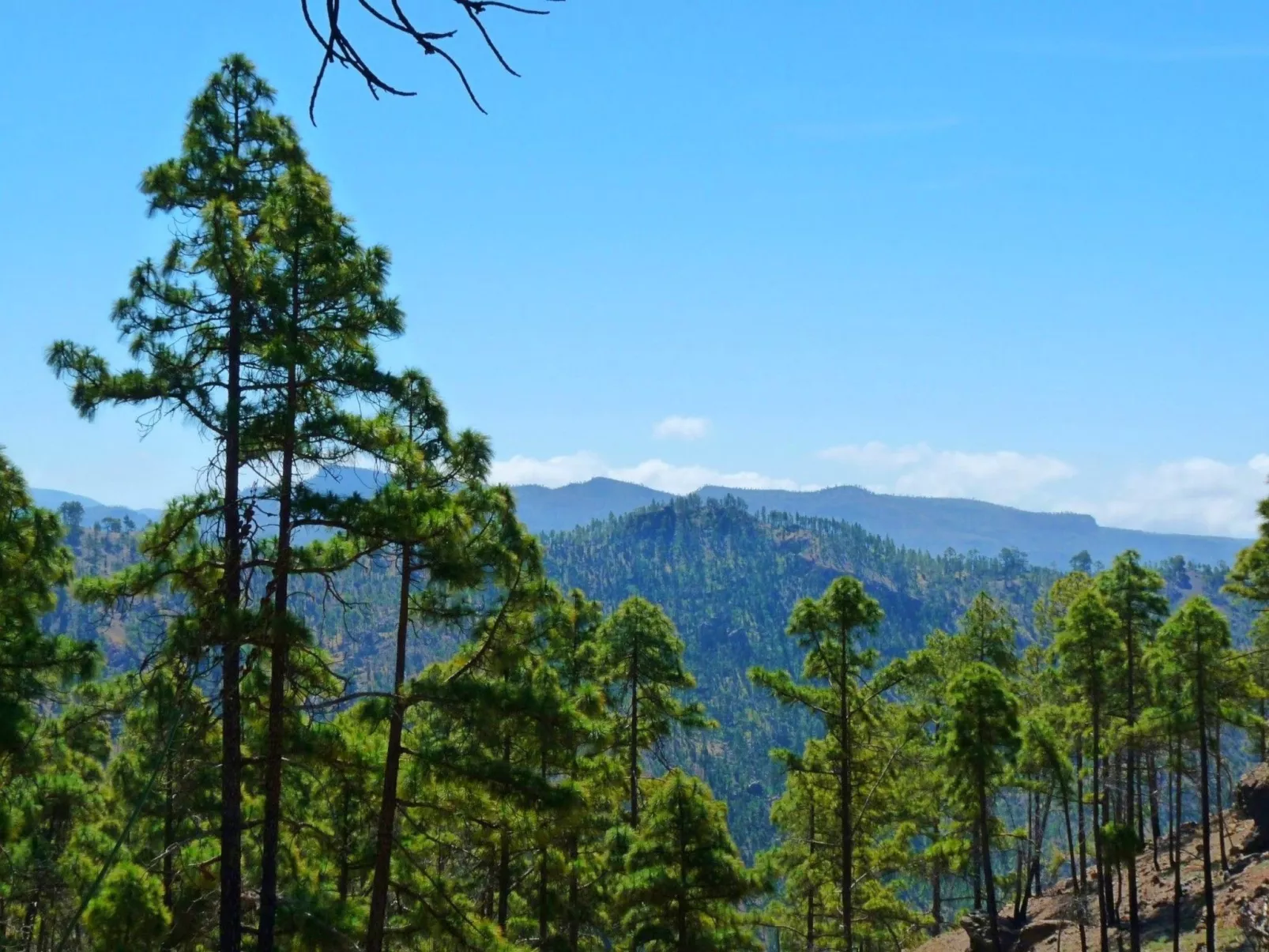 La Finca' Landhaus-Buiten