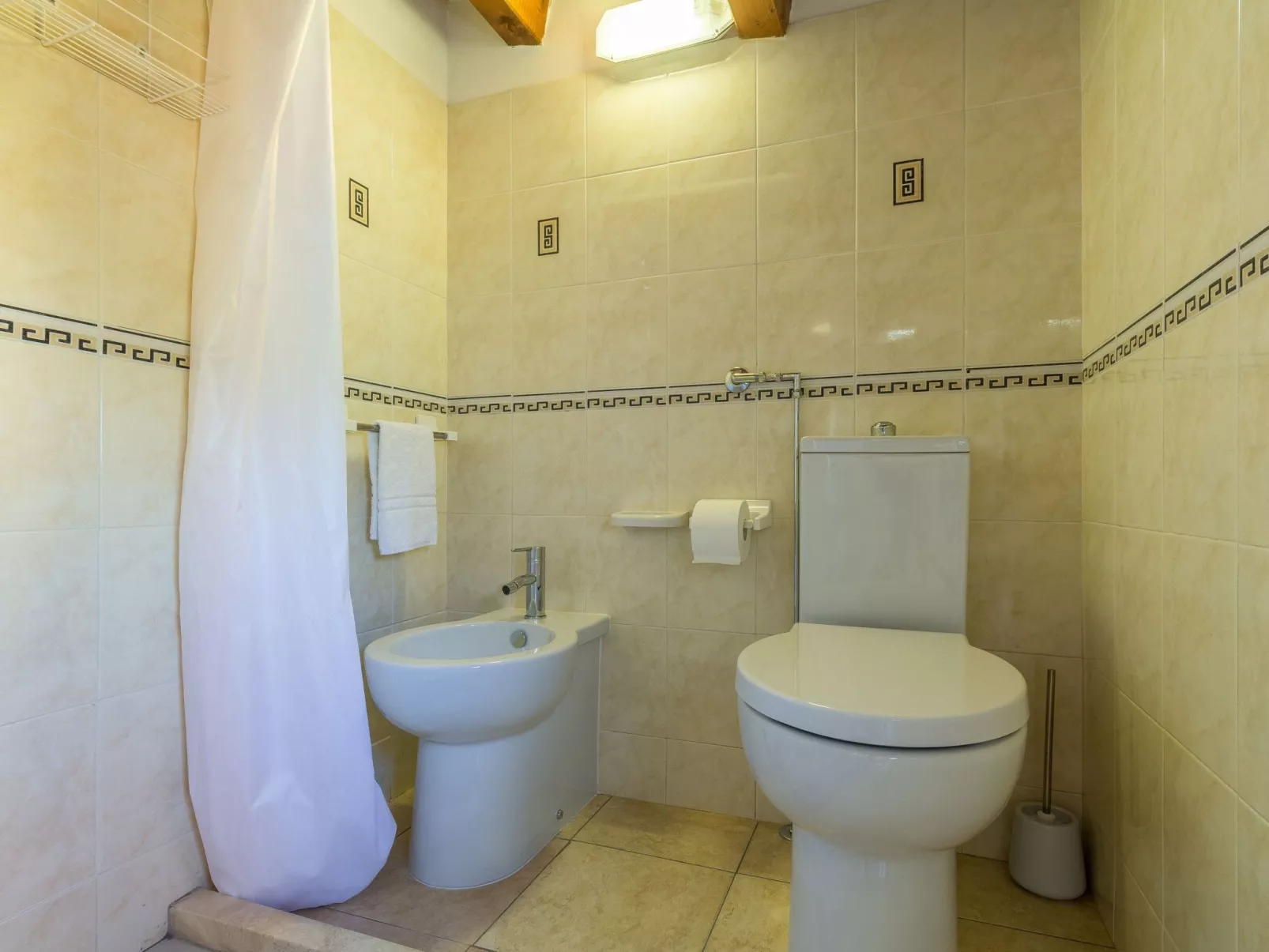 Amarillis, Wohnung am Strand-Image-tags.info