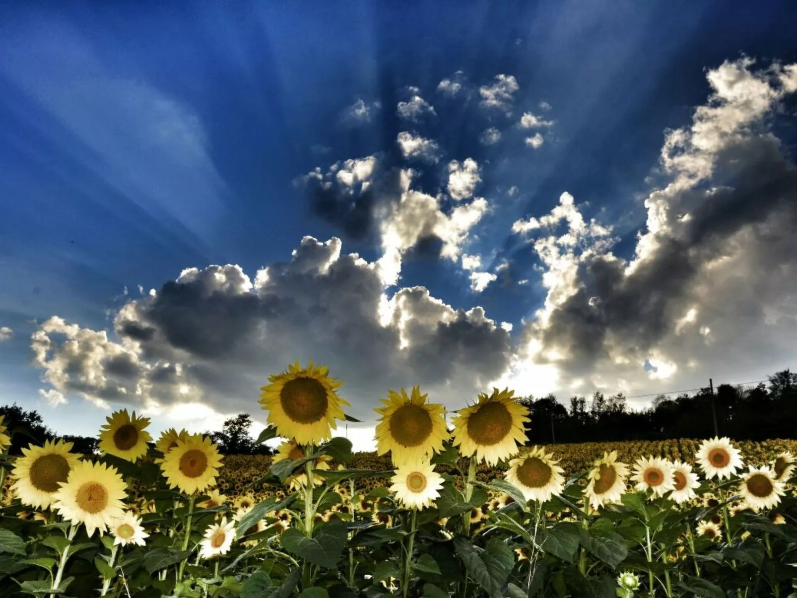 Il Melograno Panoramahaus-Buiten