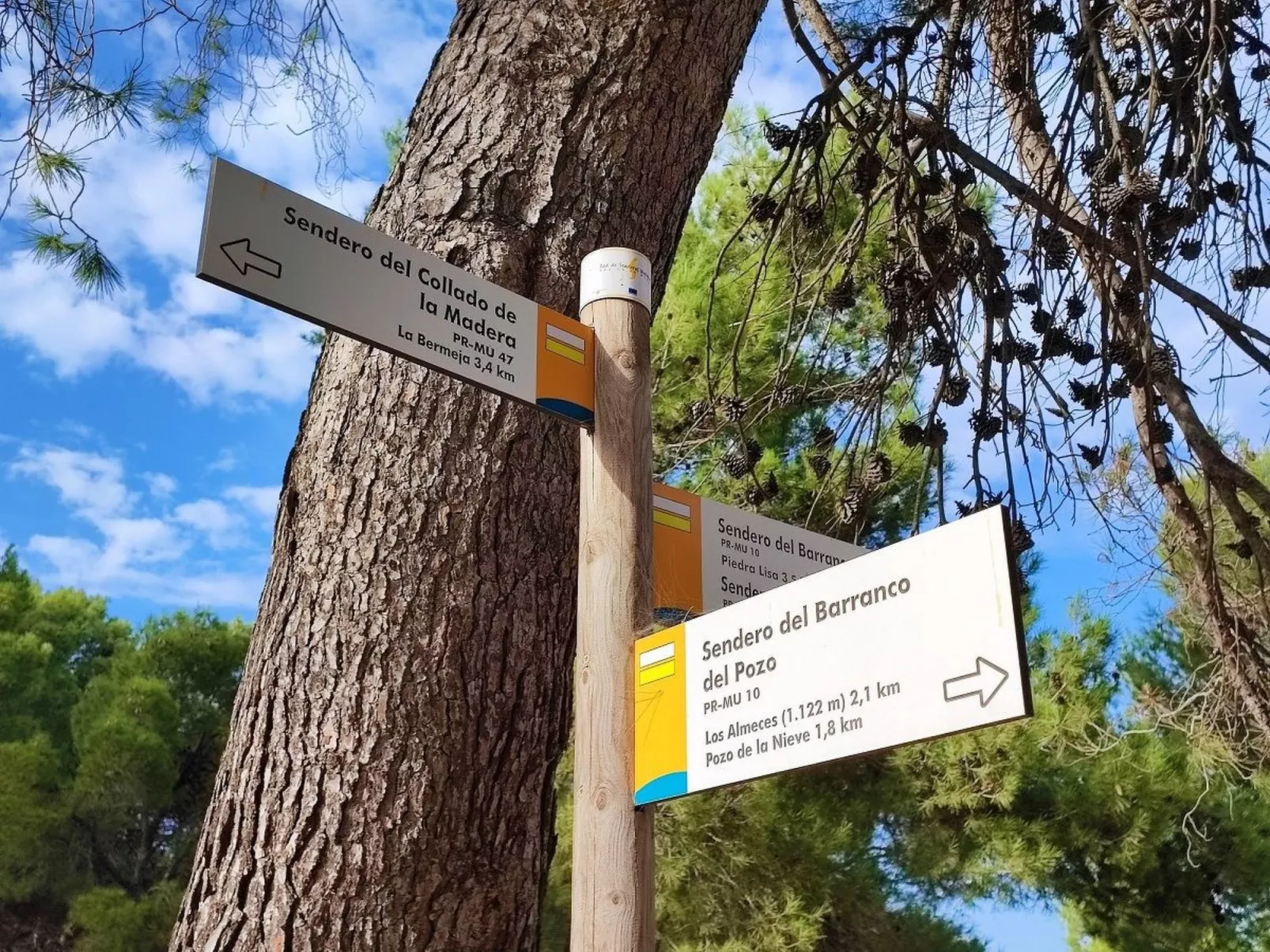 Domicilio de Vida-Image-tags.info