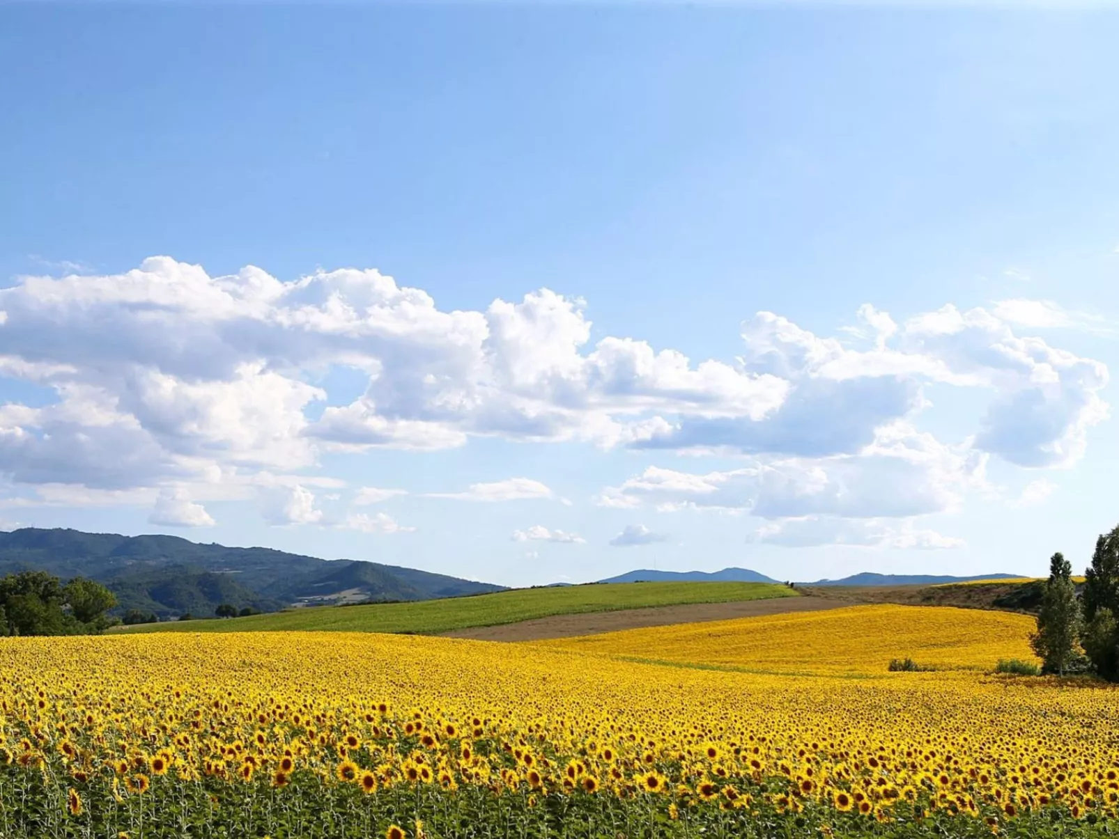 Villa mit privatem Pool in der Region Mugello-Image-tags.info