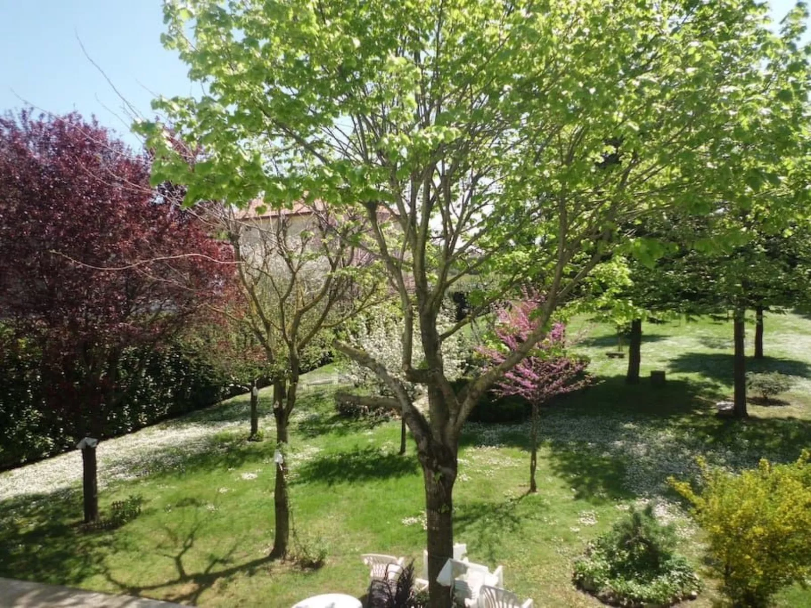 Wohnung mit Privatparkplatz-Buiten