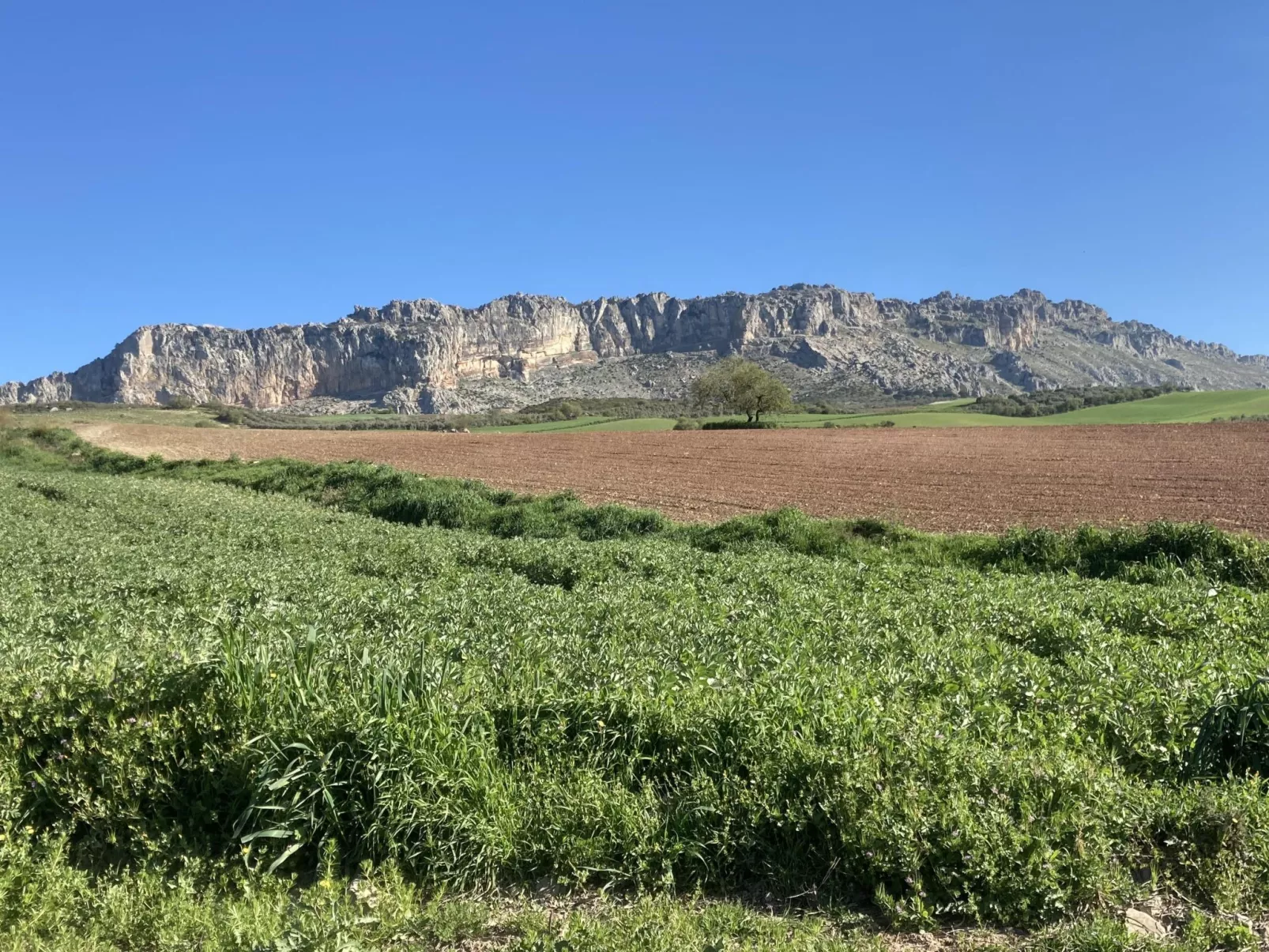 Wunderschön gelegenes Ferienhaus mit privatem Pool-Buiten