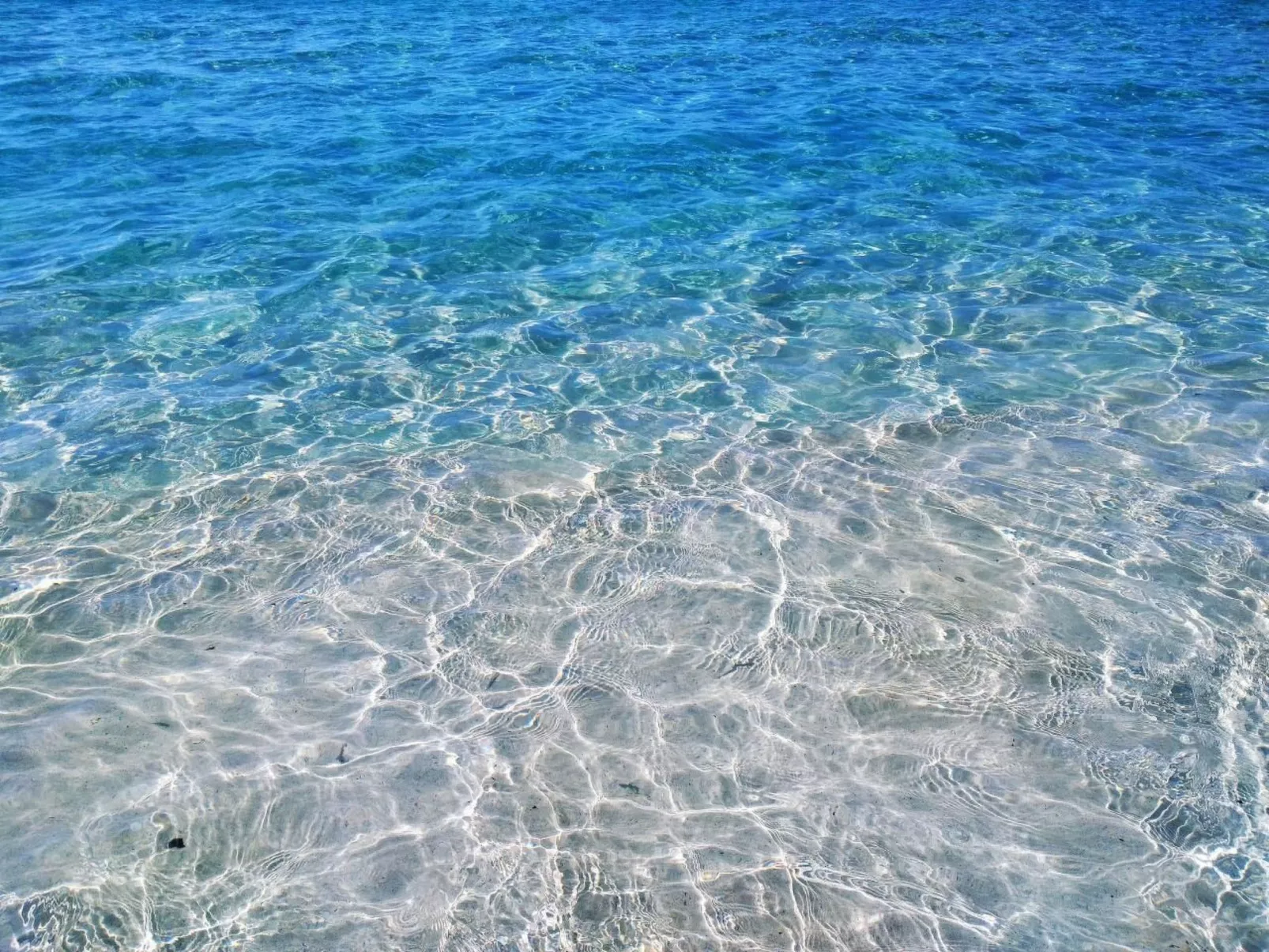 Wohnungen Palm Garden-Buiten