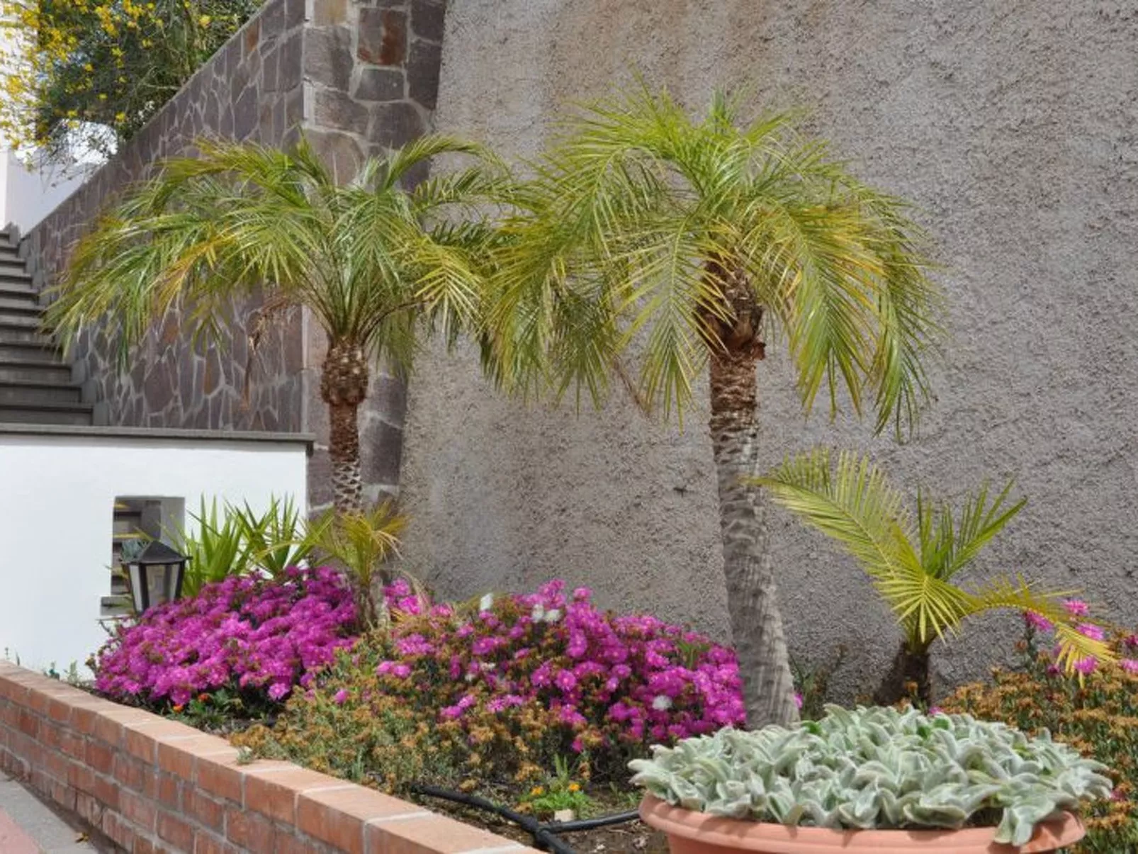 Wohnung 'Ginestra' mit Terrasse-Buiten