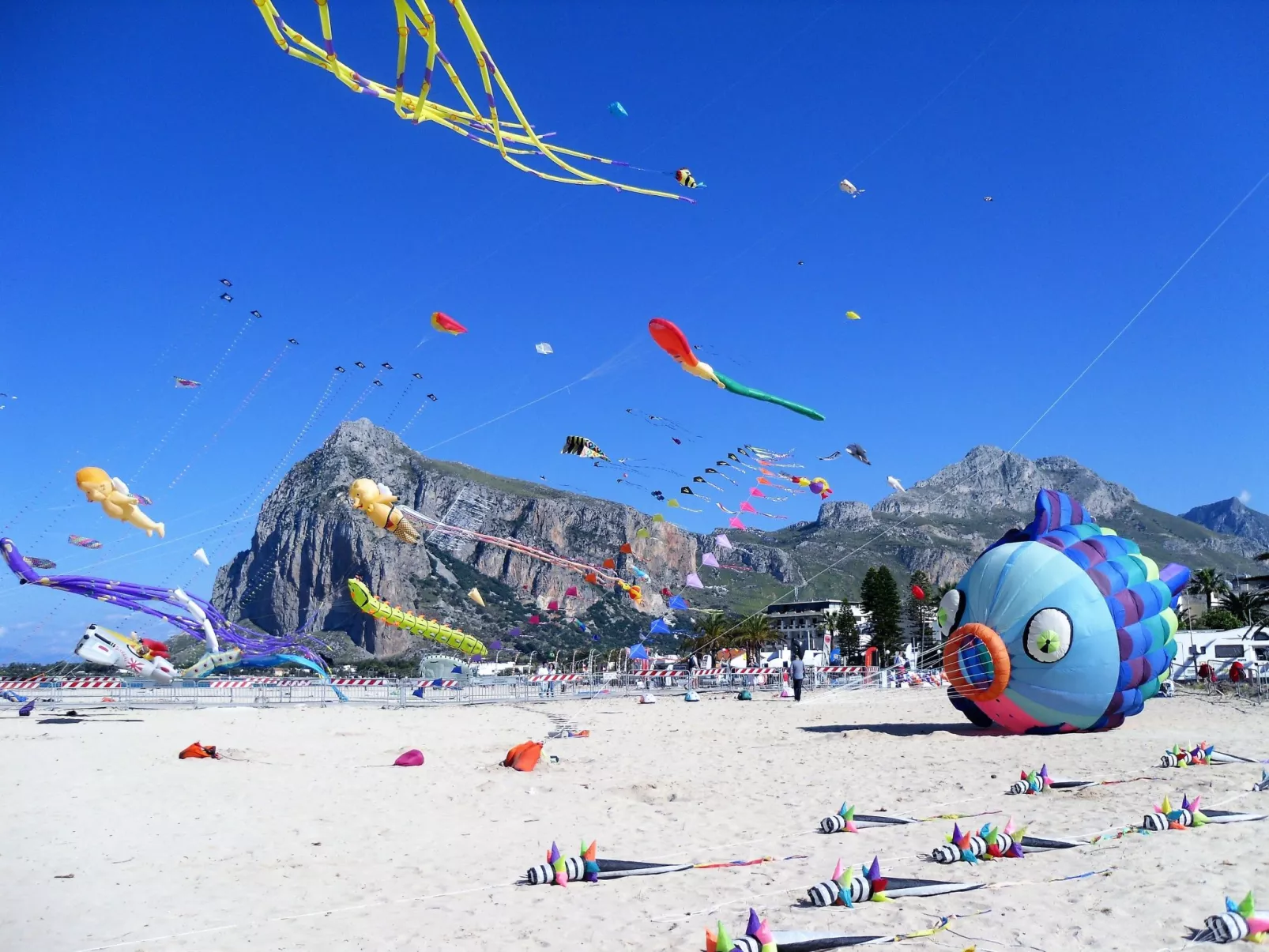 'Villa sul porto-Omgeving