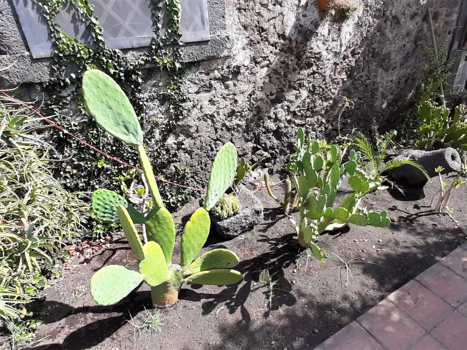 Sizilianisches Haus-Image-tags.info