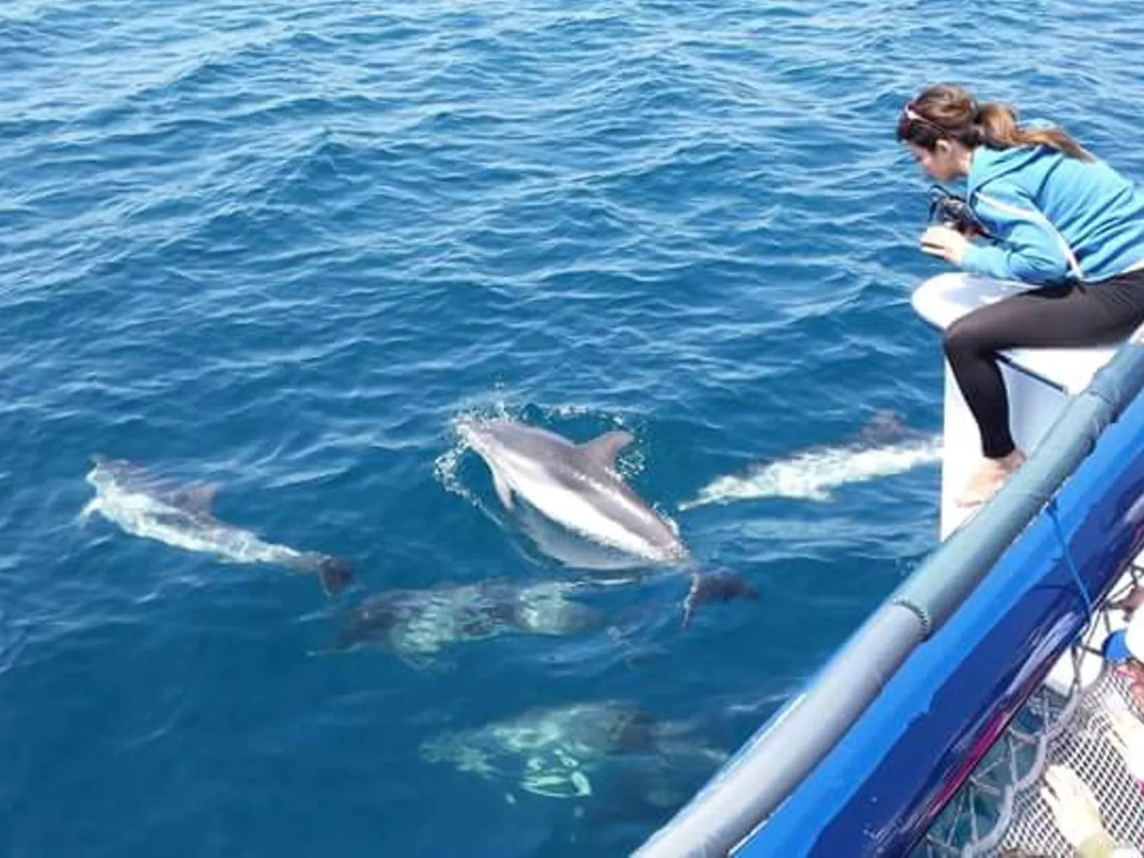 Villa Orchidea am Meer in Apulien-Image-tags.info