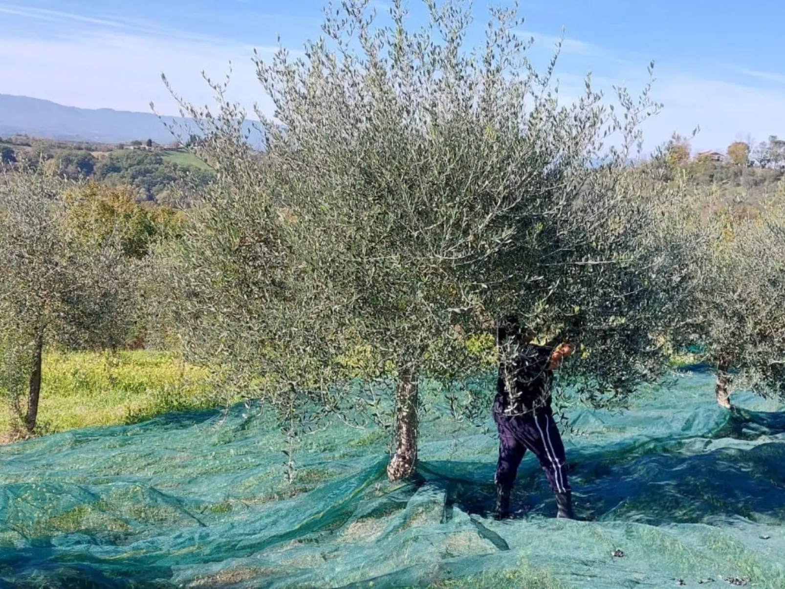 Wohnung in gemütlichem kleinen Bauernhaus-Image-tags.info