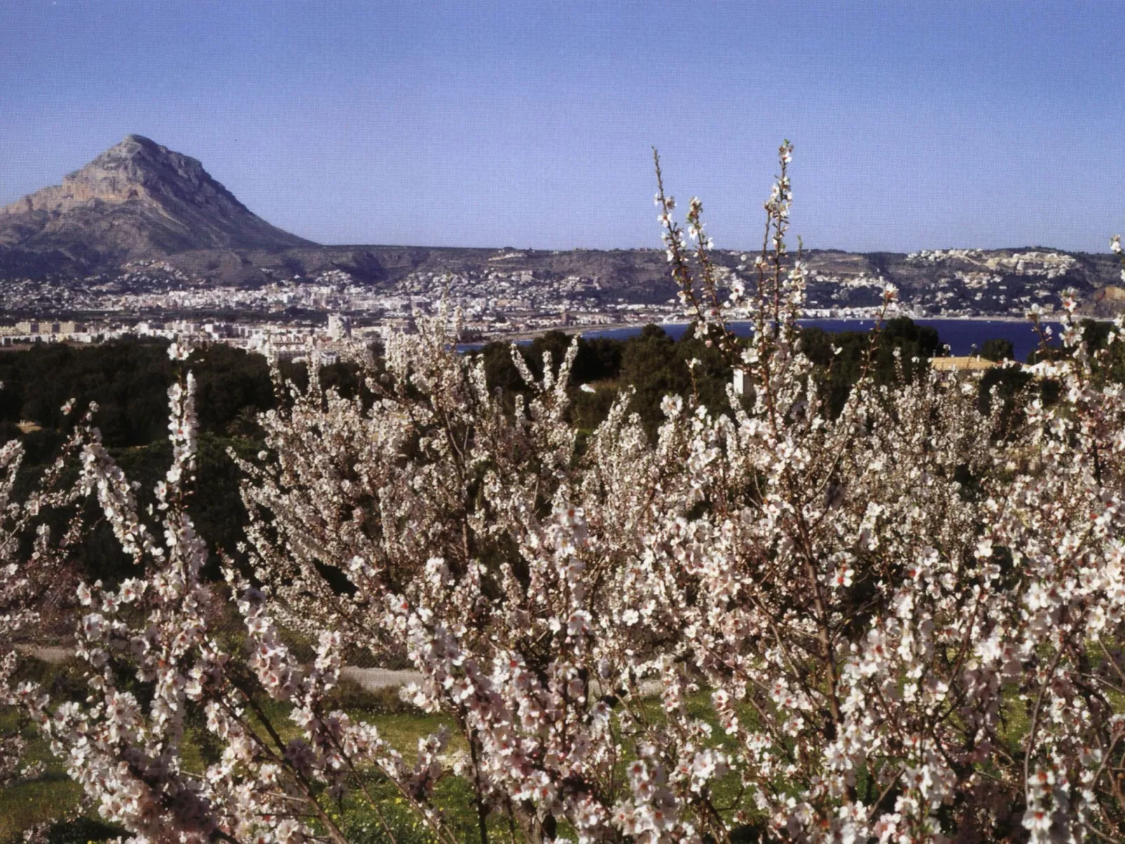 Villa Redonda I-Image-tags.info