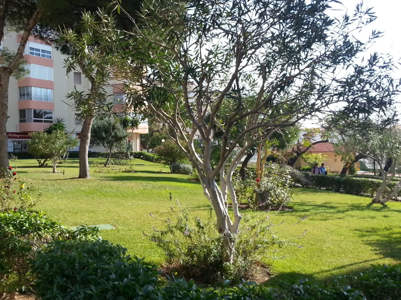 Gemütliche Wohnung in Torrox mit gemeinsamem Pool-Buiten