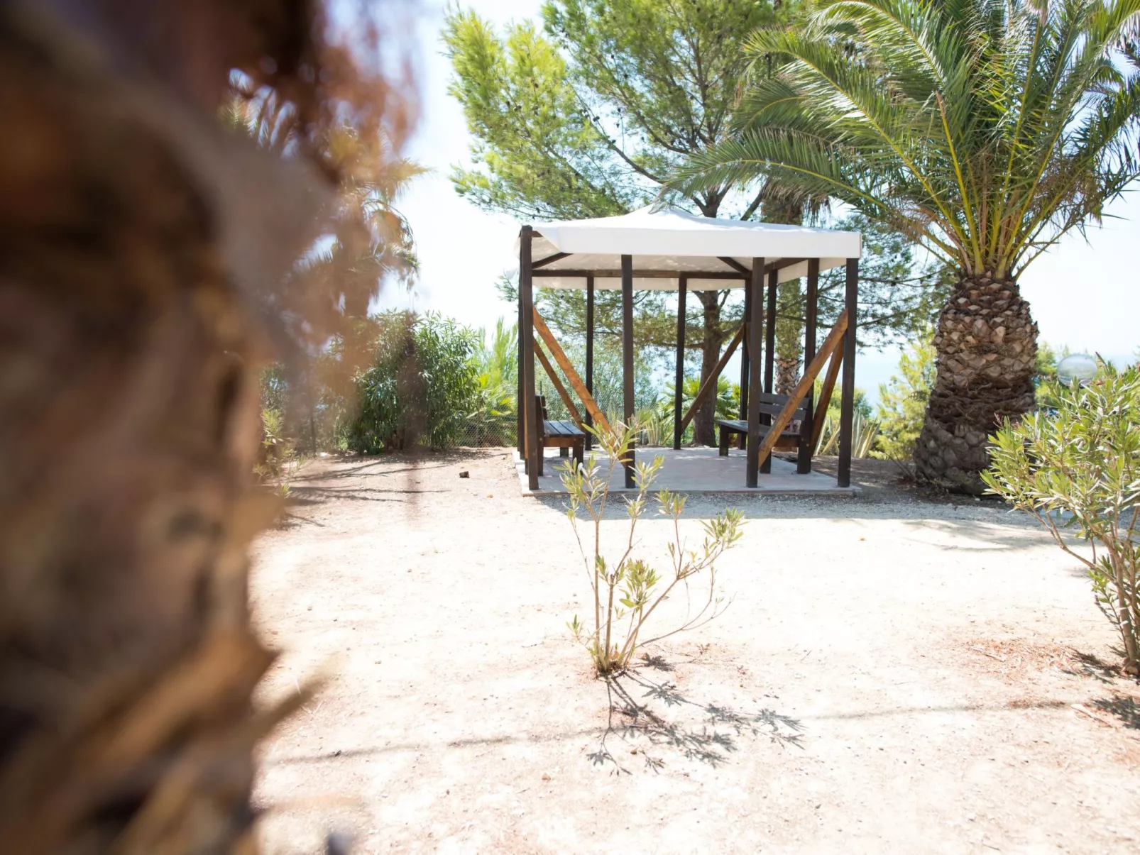 Wohnung in Sciacca mit internem Parkplatz - Image-tags.info