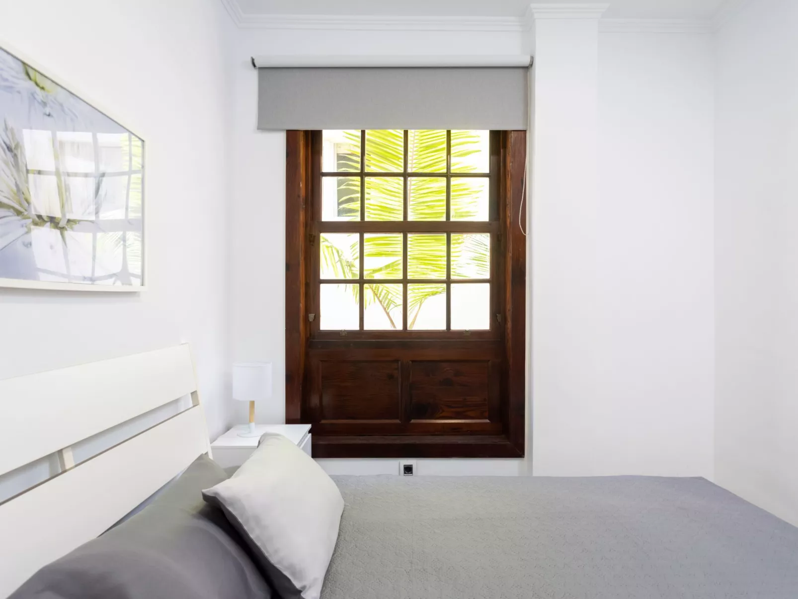 Punto Fijo-Image-tags.info