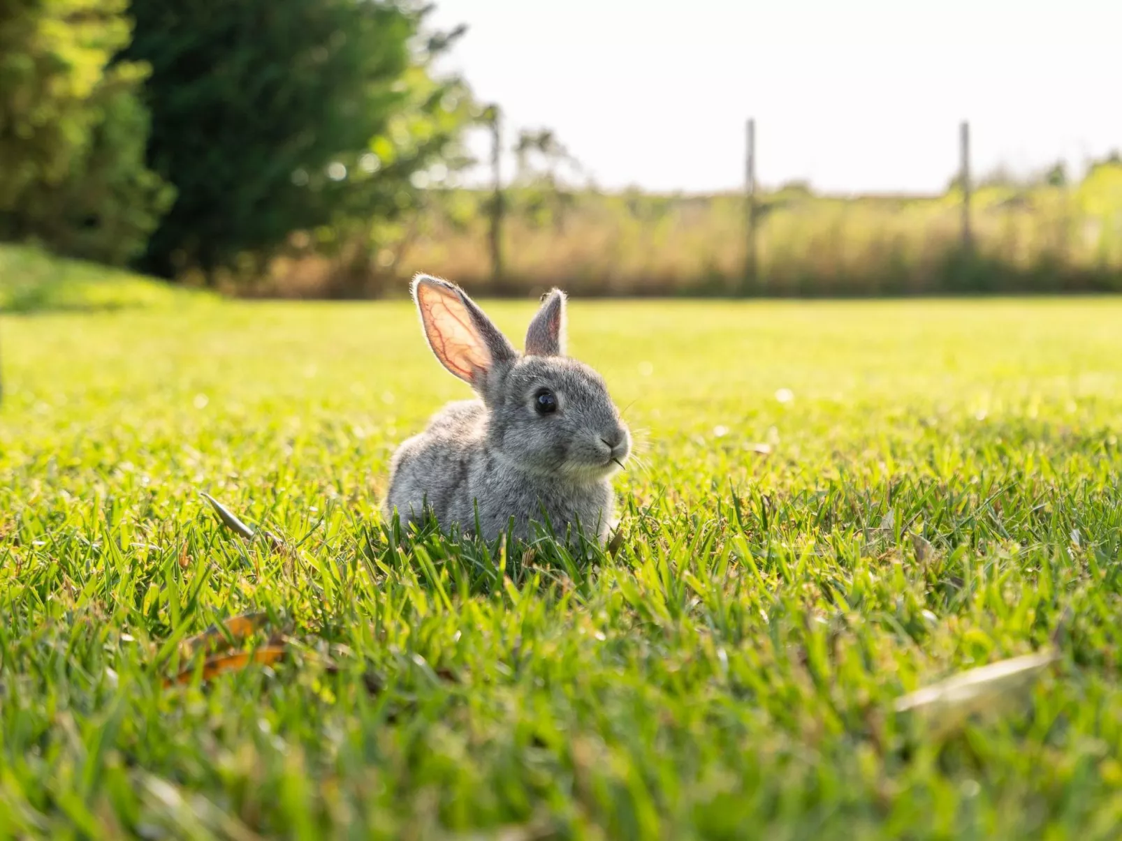 Unterkunft Conte-Buiten